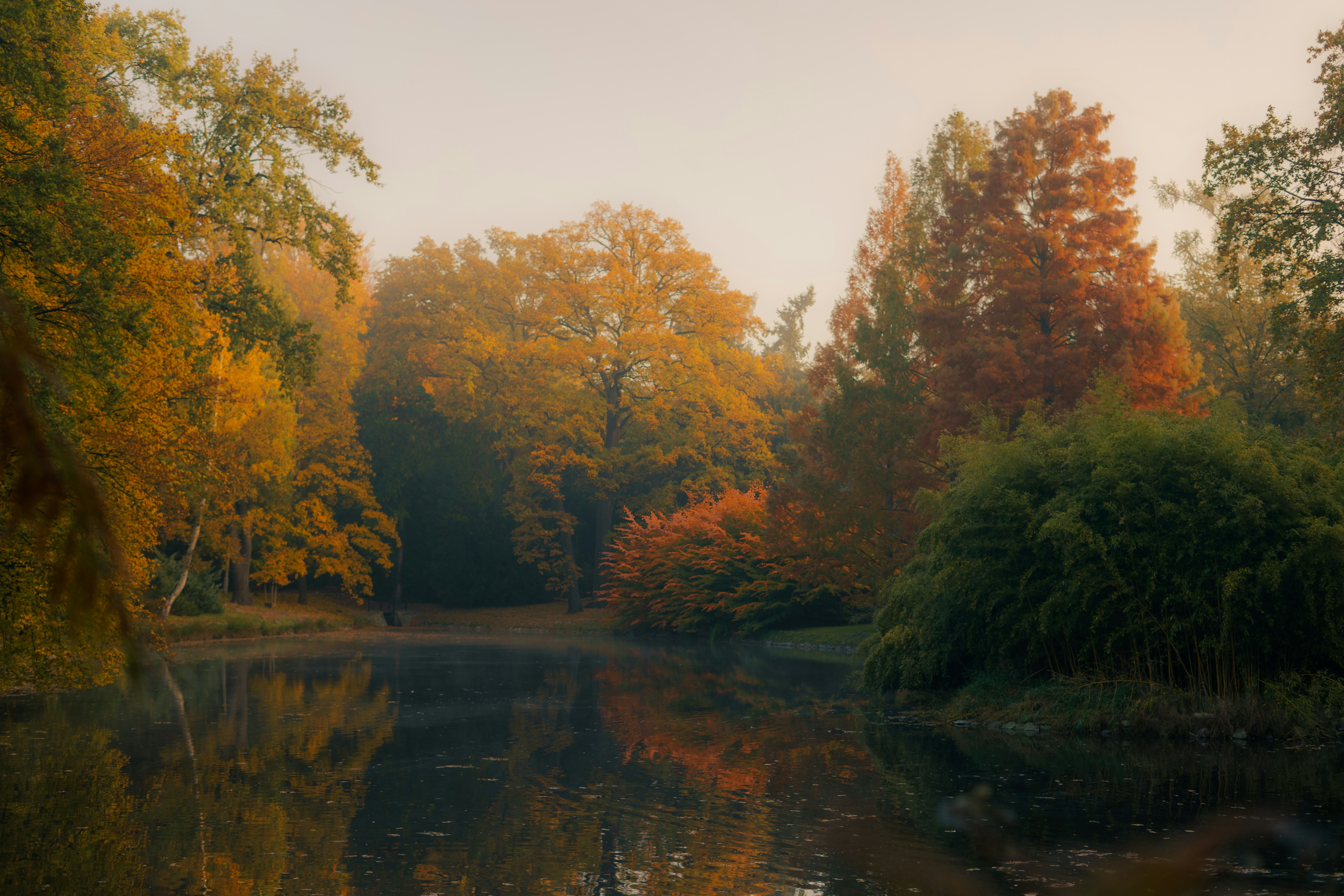 Photo by userwithcamera