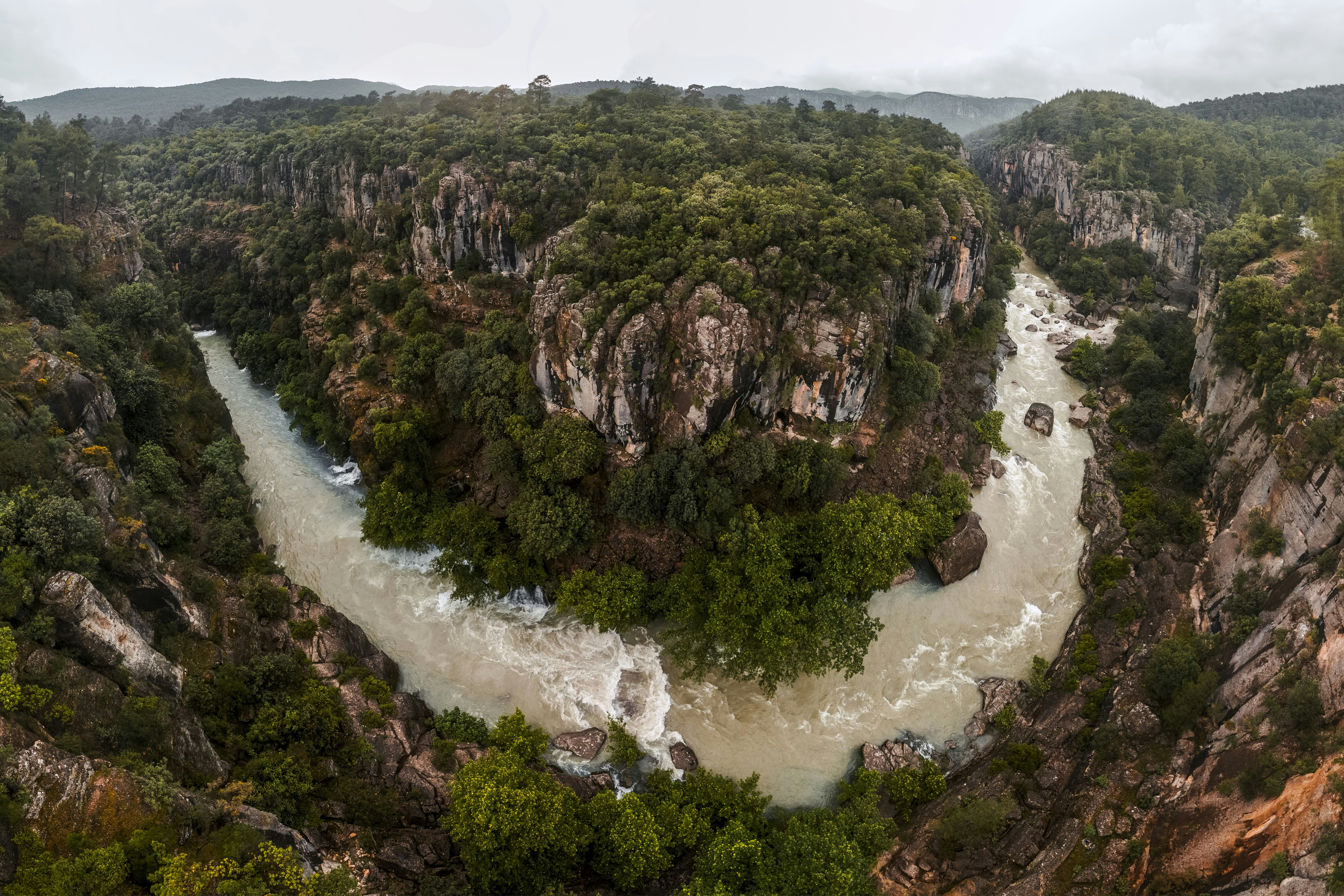 Photo by coolswitcher