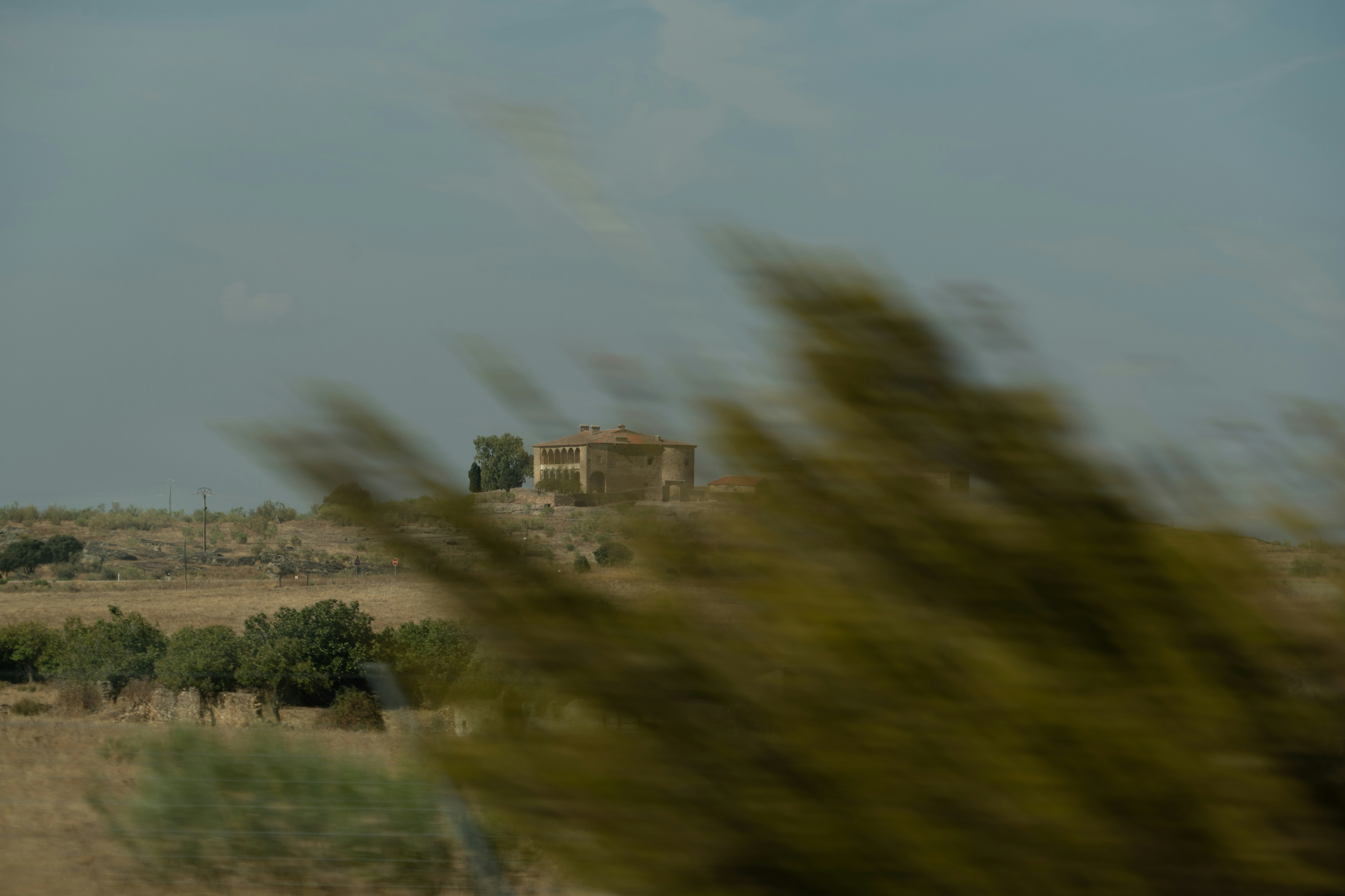 A field with a building in the distance