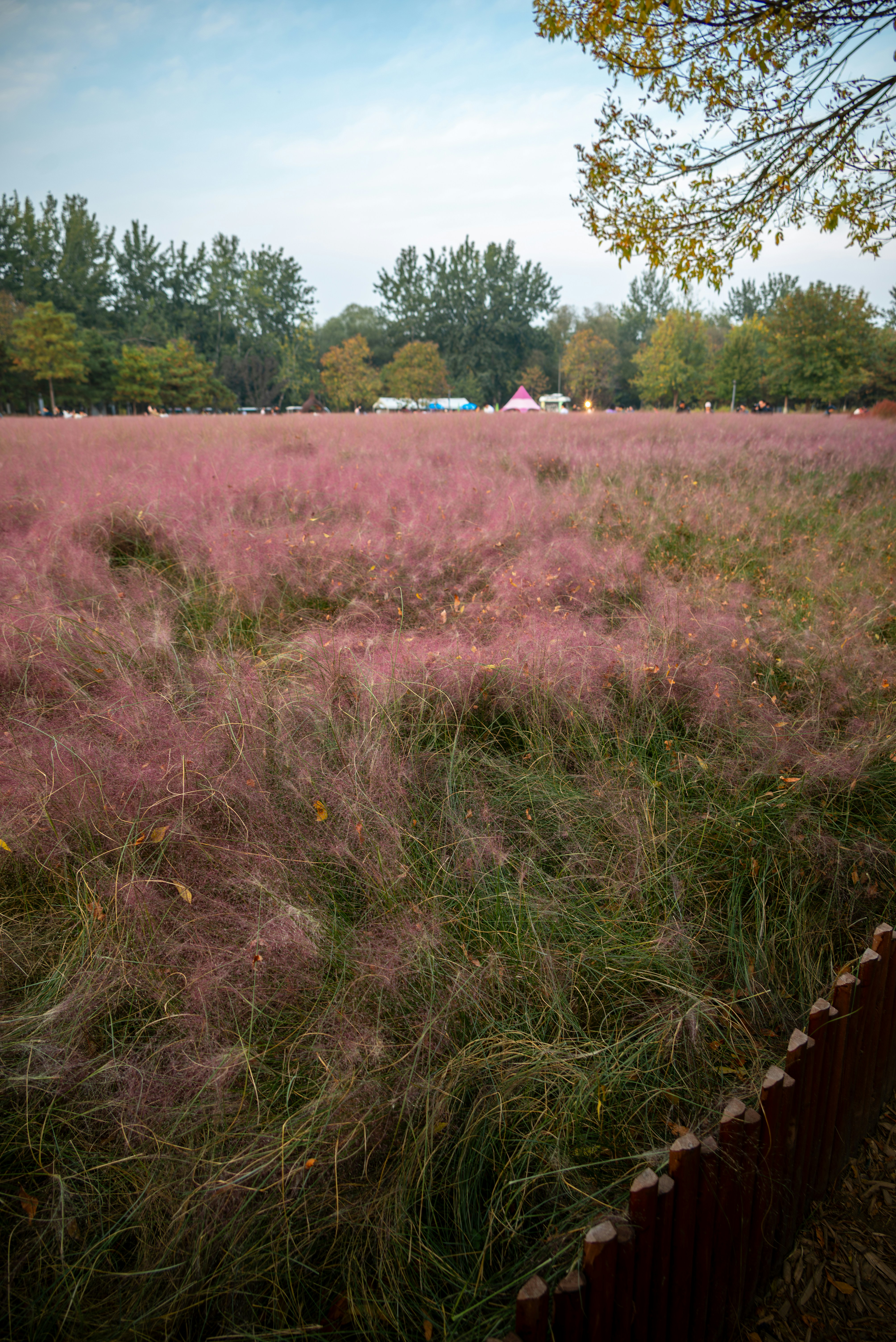 Beijing Olympic Park photo 3
