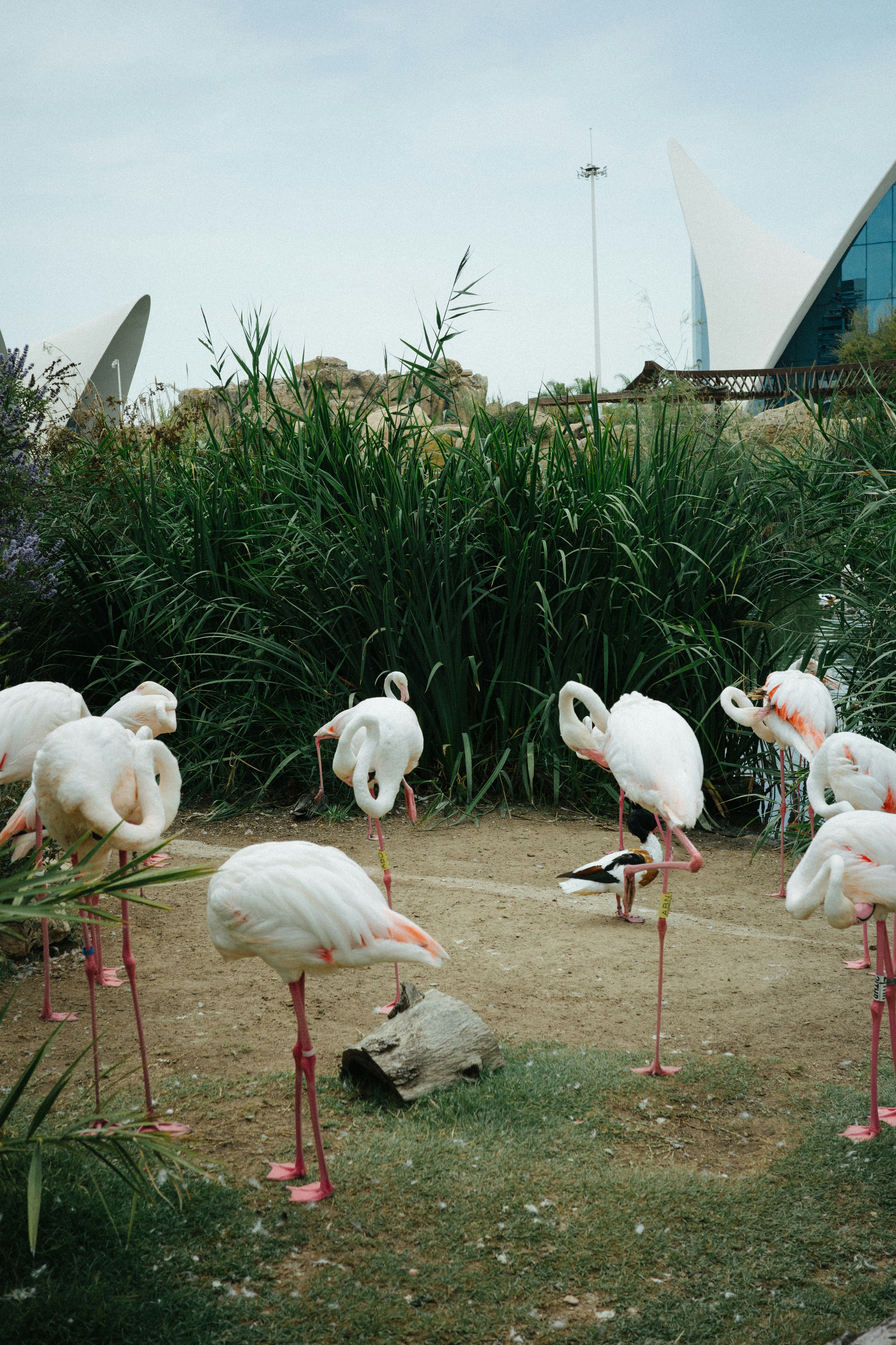 Valencia Botanical Garden