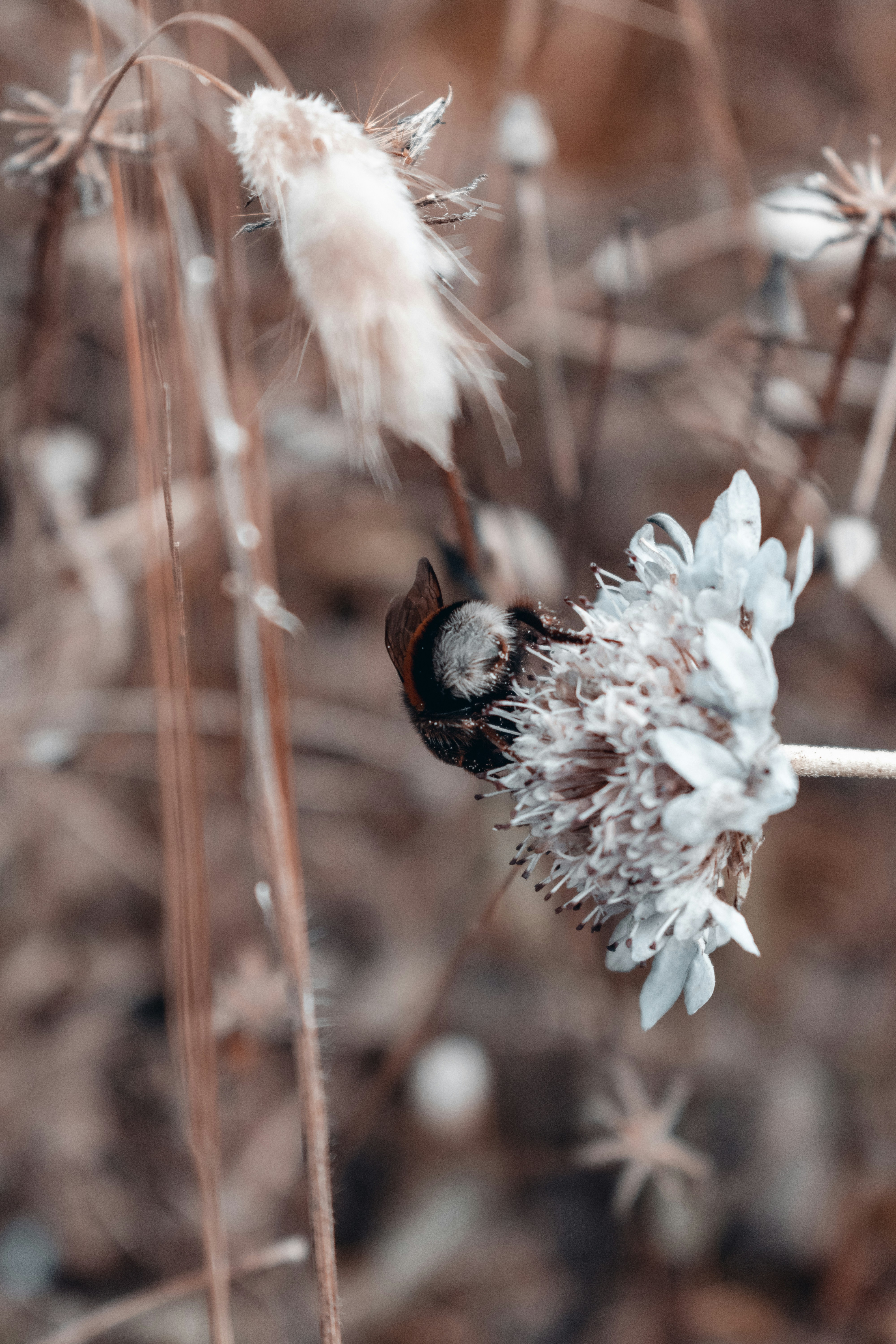 Photo by vadym_alyekseyenko