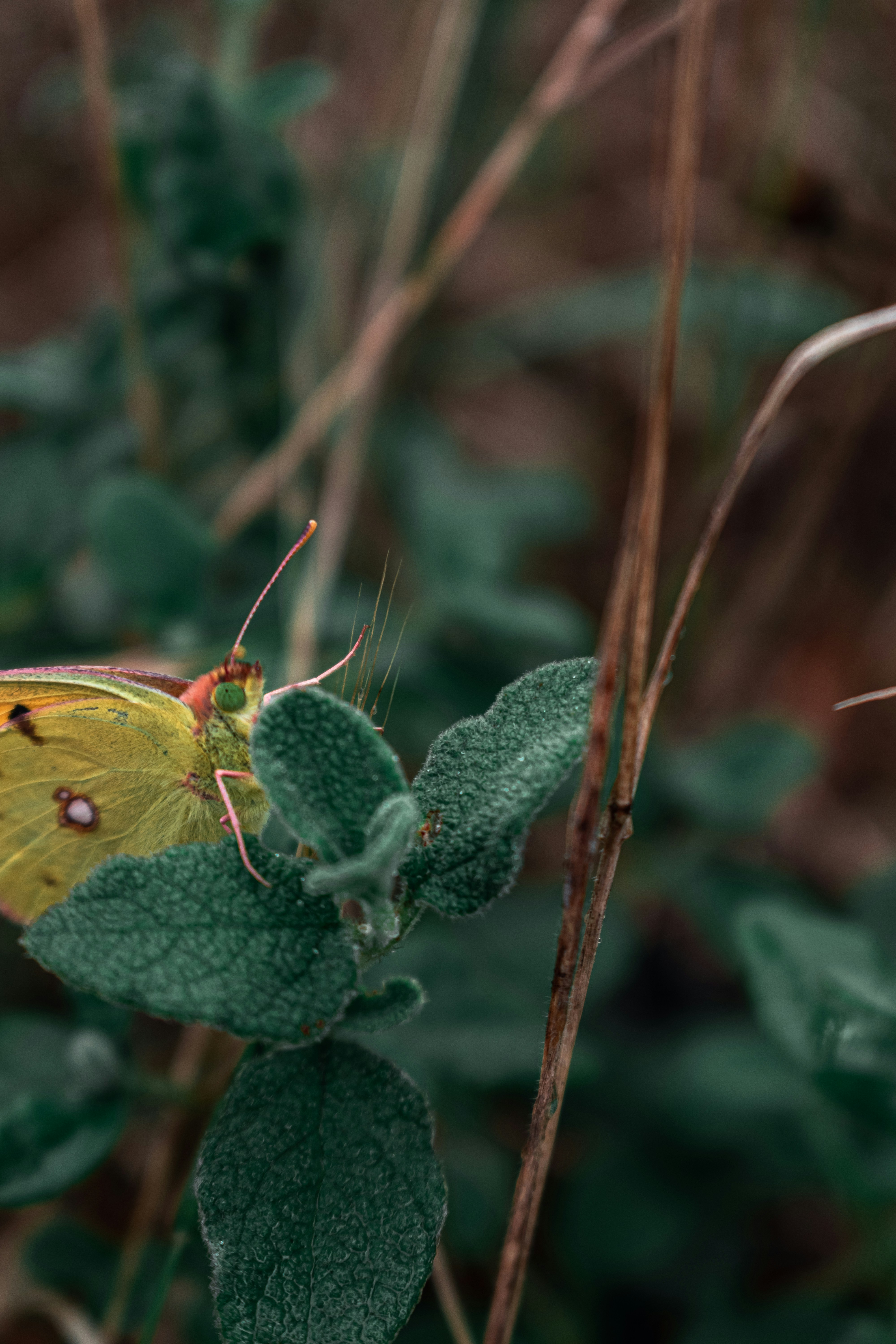 Photo by vadym_alyekseyenko