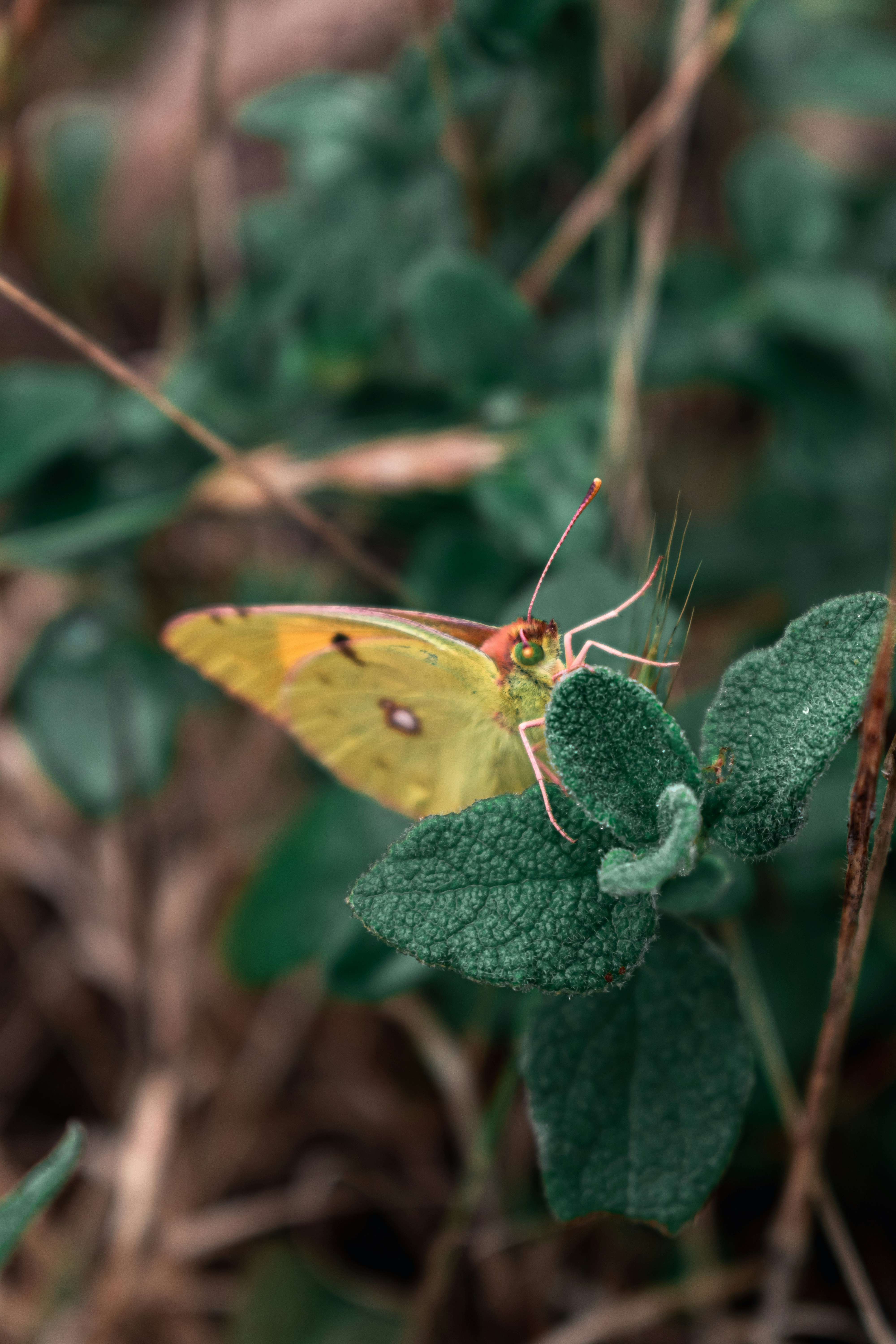 Photo by vadym_alyekseyenko