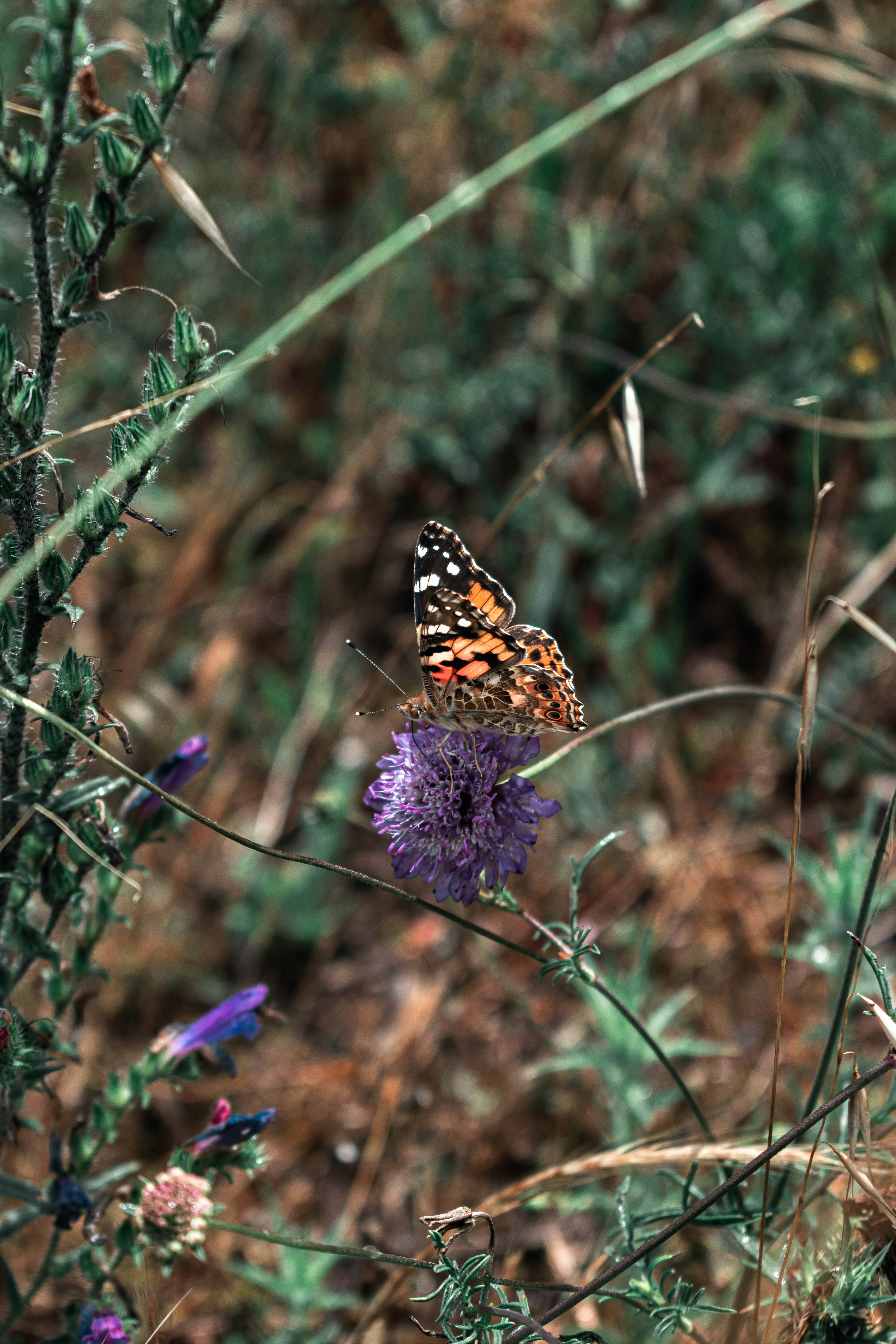 Photo by vadym_alyekseyenko