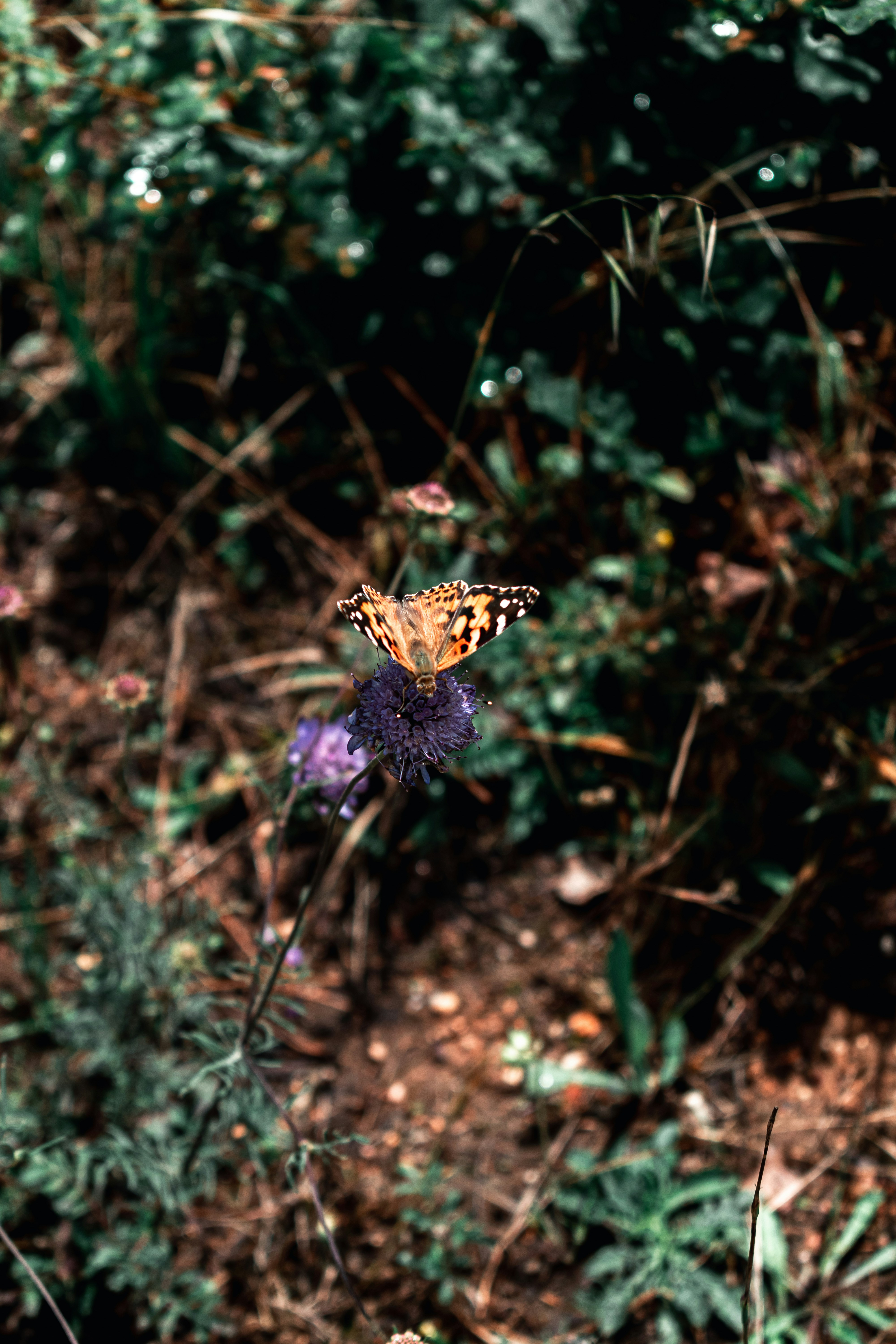 Photo by vadym_alyekseyenko