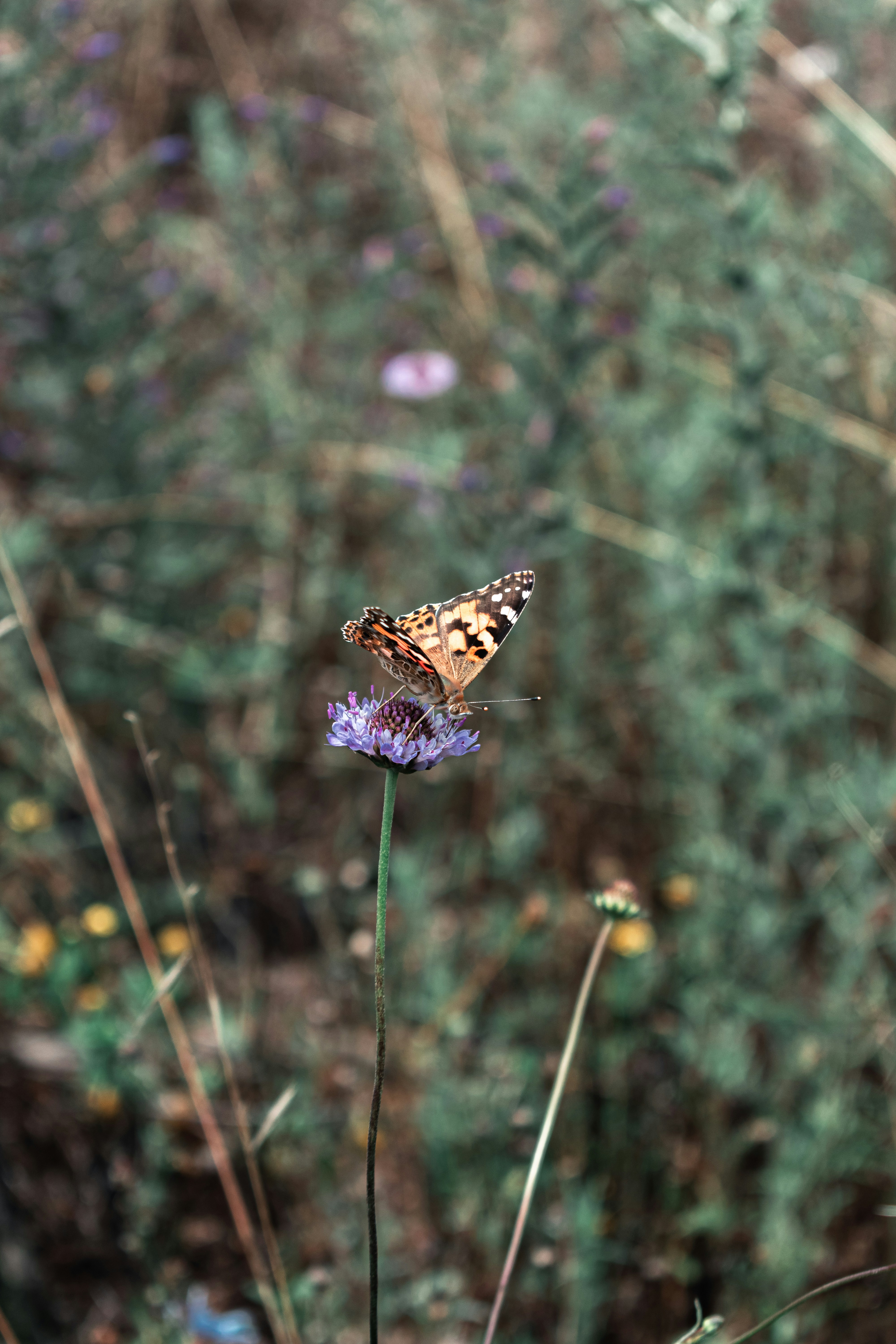 Photo by vadym_alyekseyenko