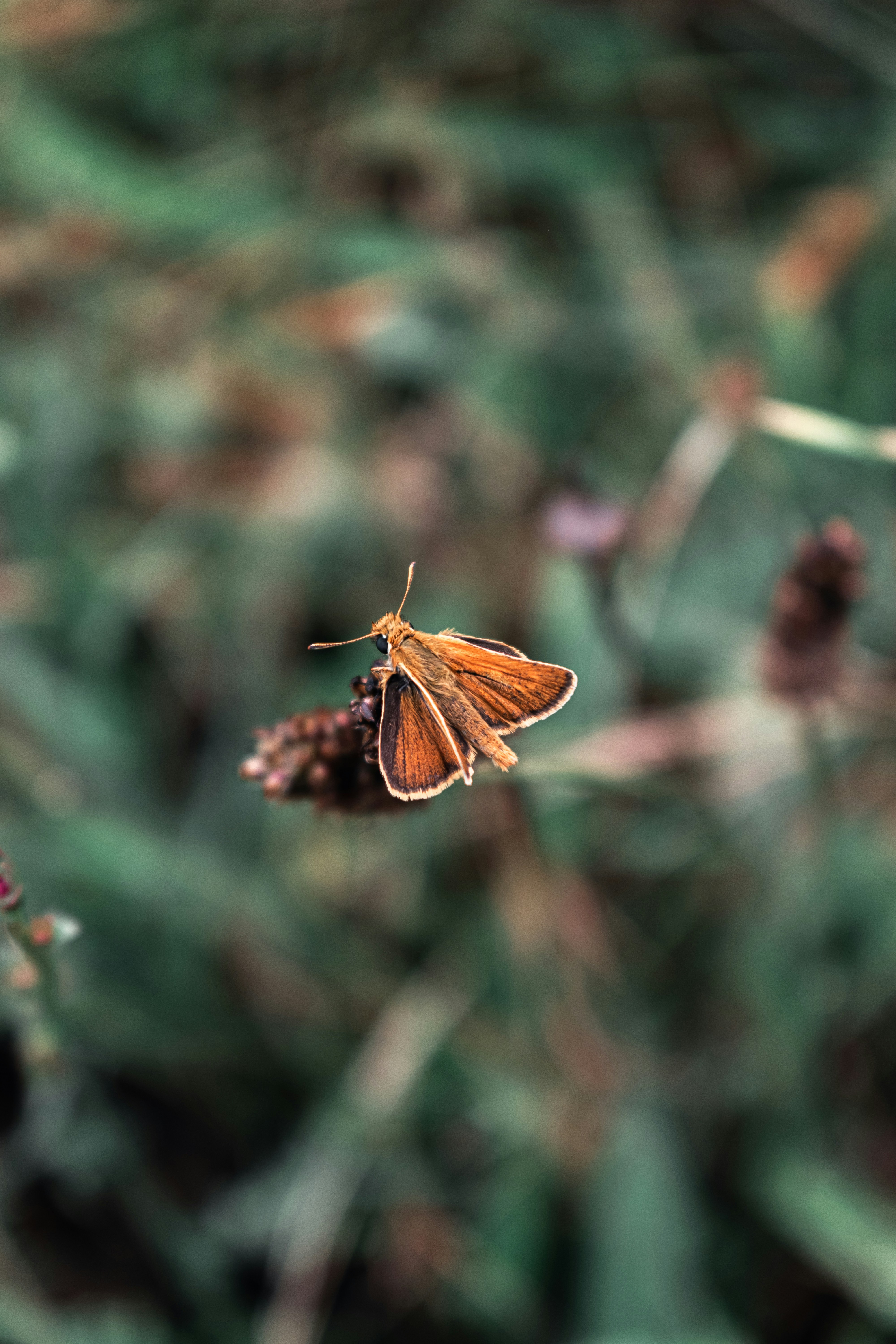 Photo by vadym_alyekseyenko