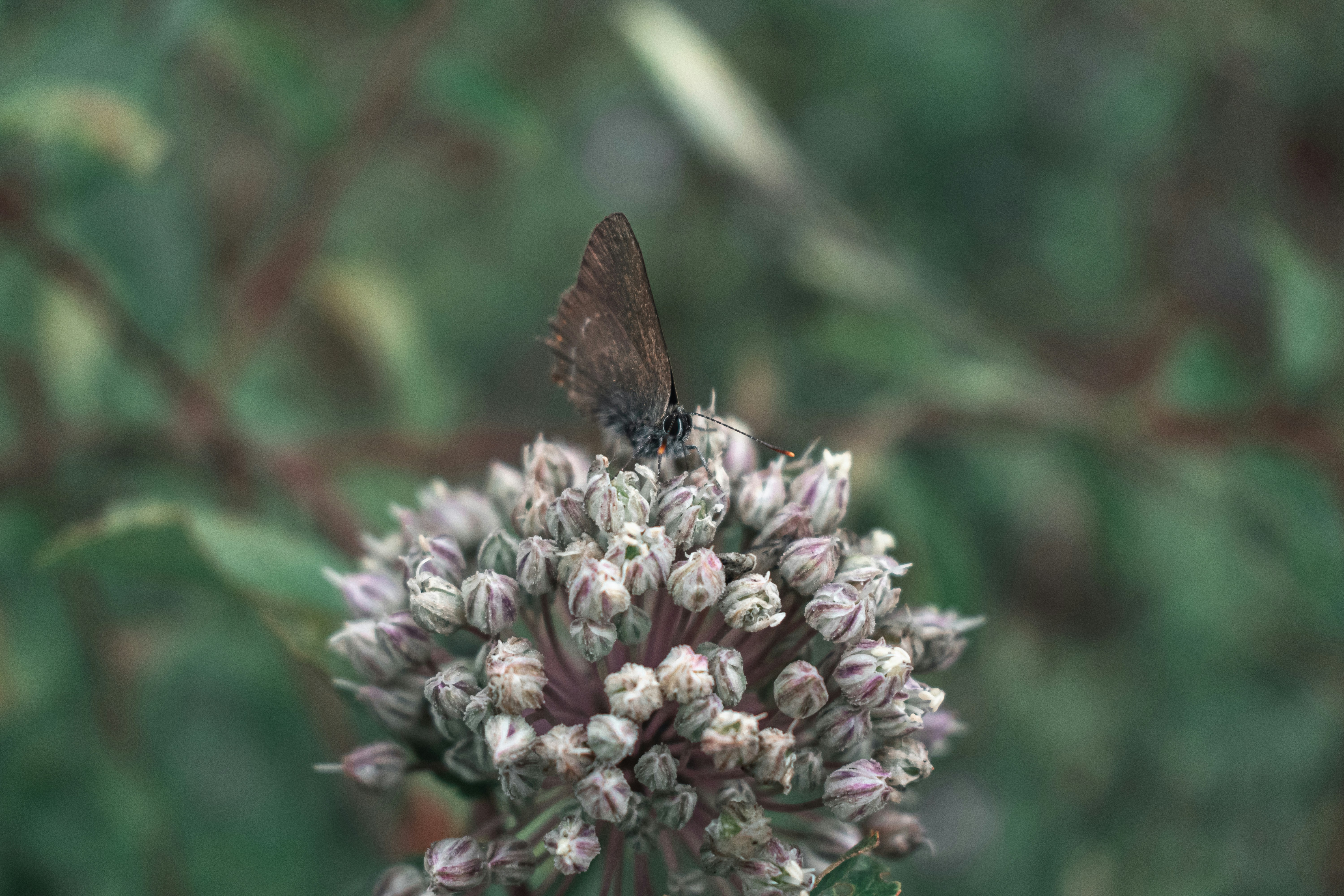 Photo by vadym_alyekseyenko