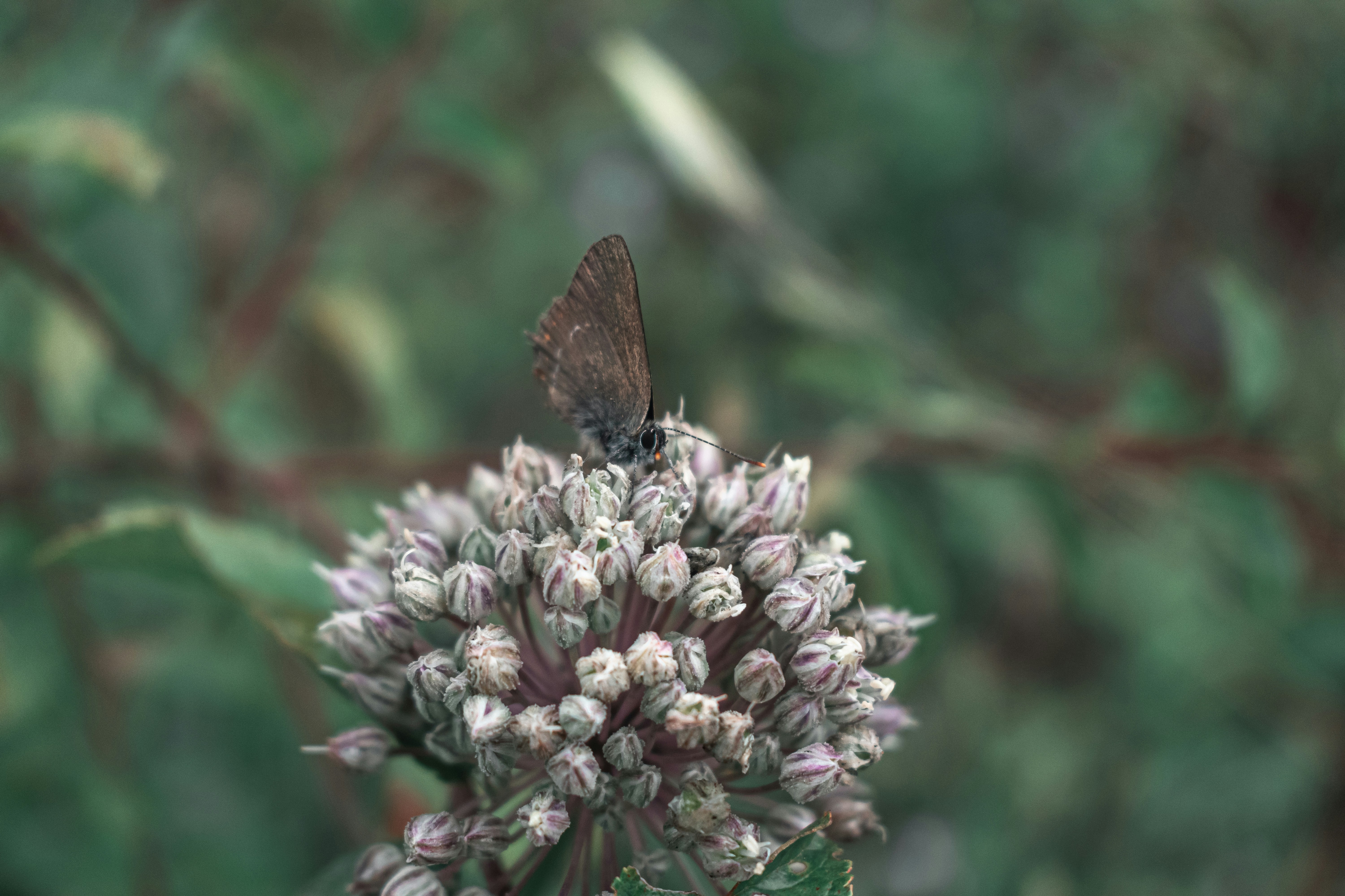 Photo by vadym_alyekseyenko