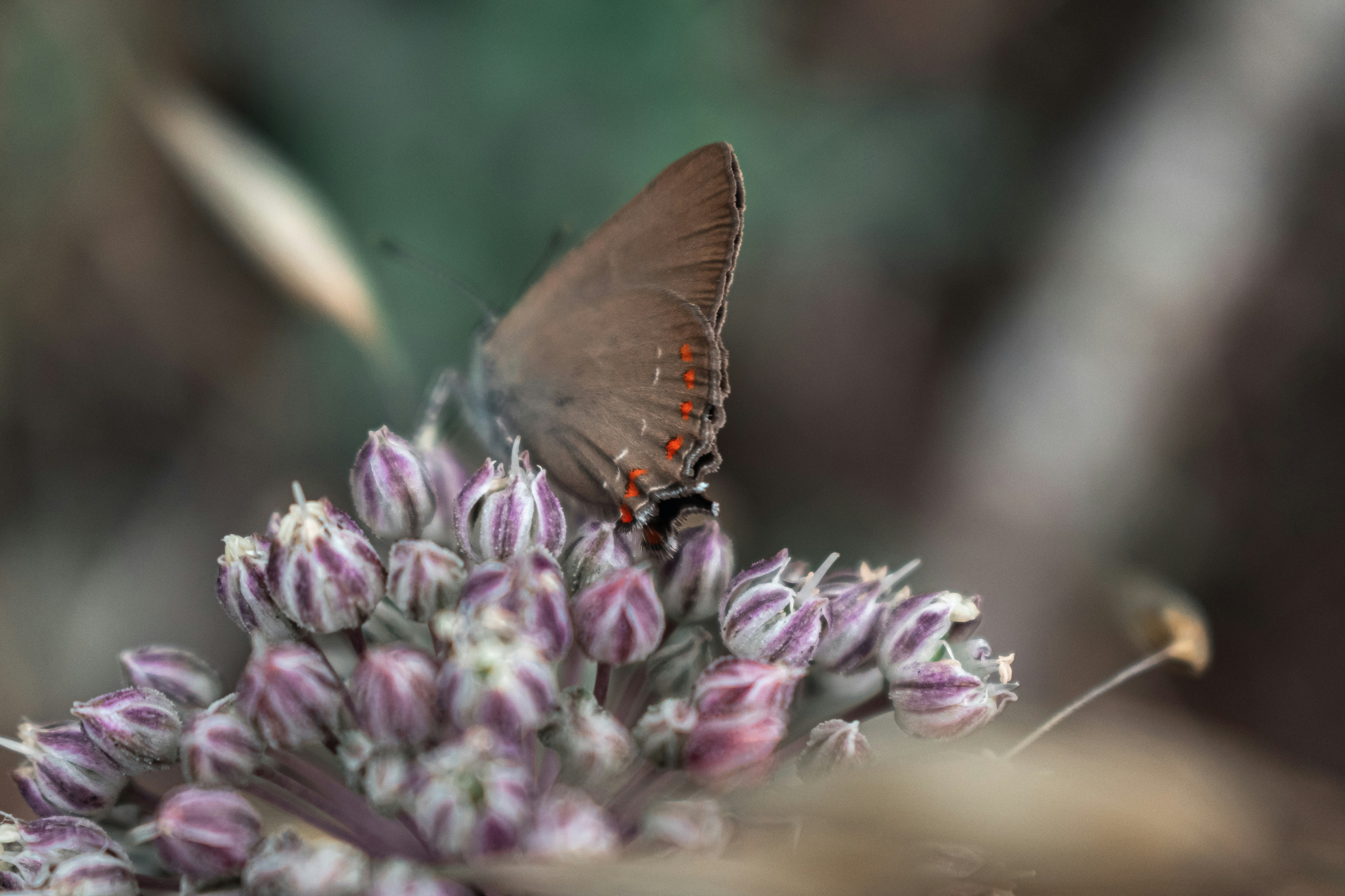 Photo by vadym_alyekseyenko