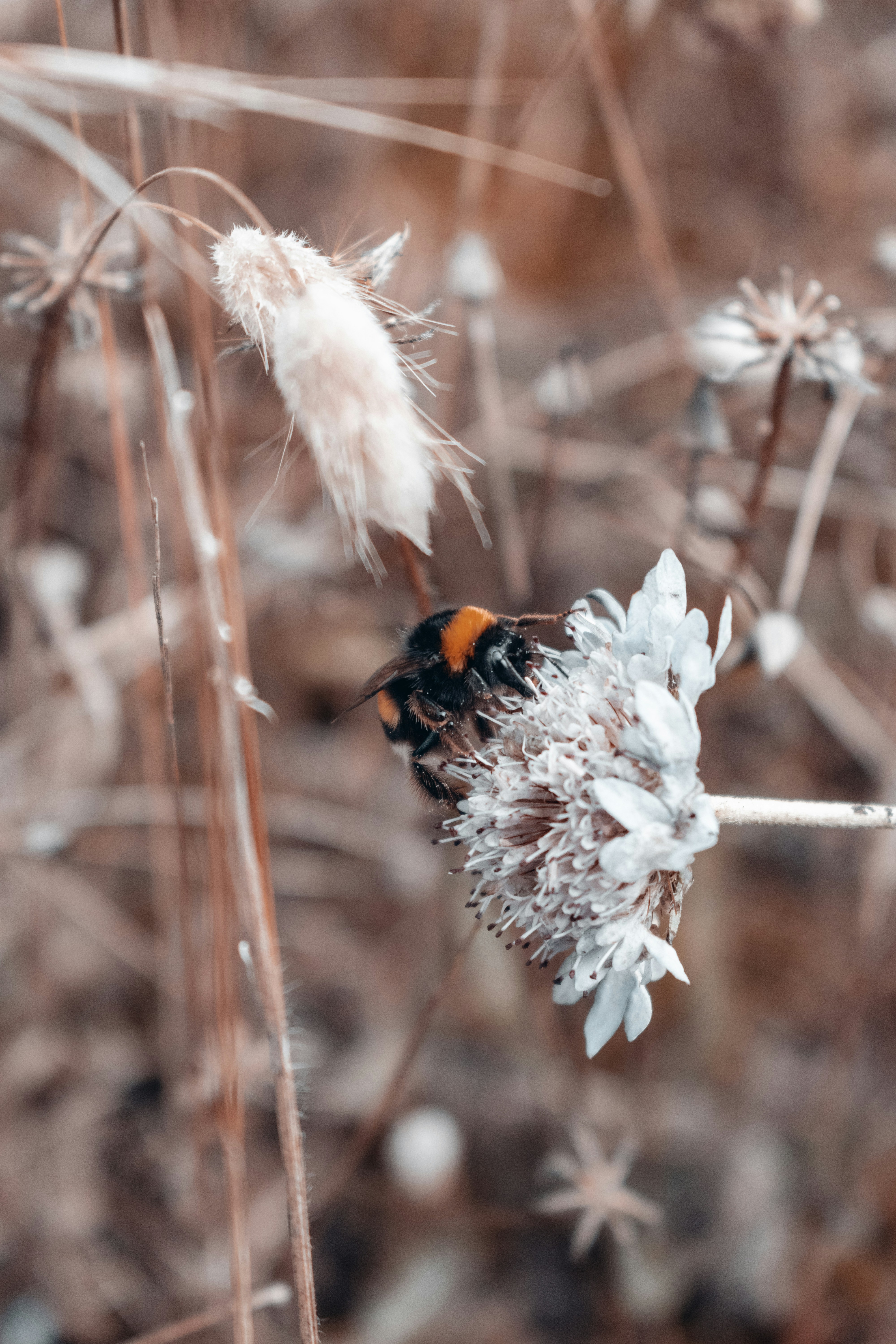 Photo by vadym_alyekseyenko