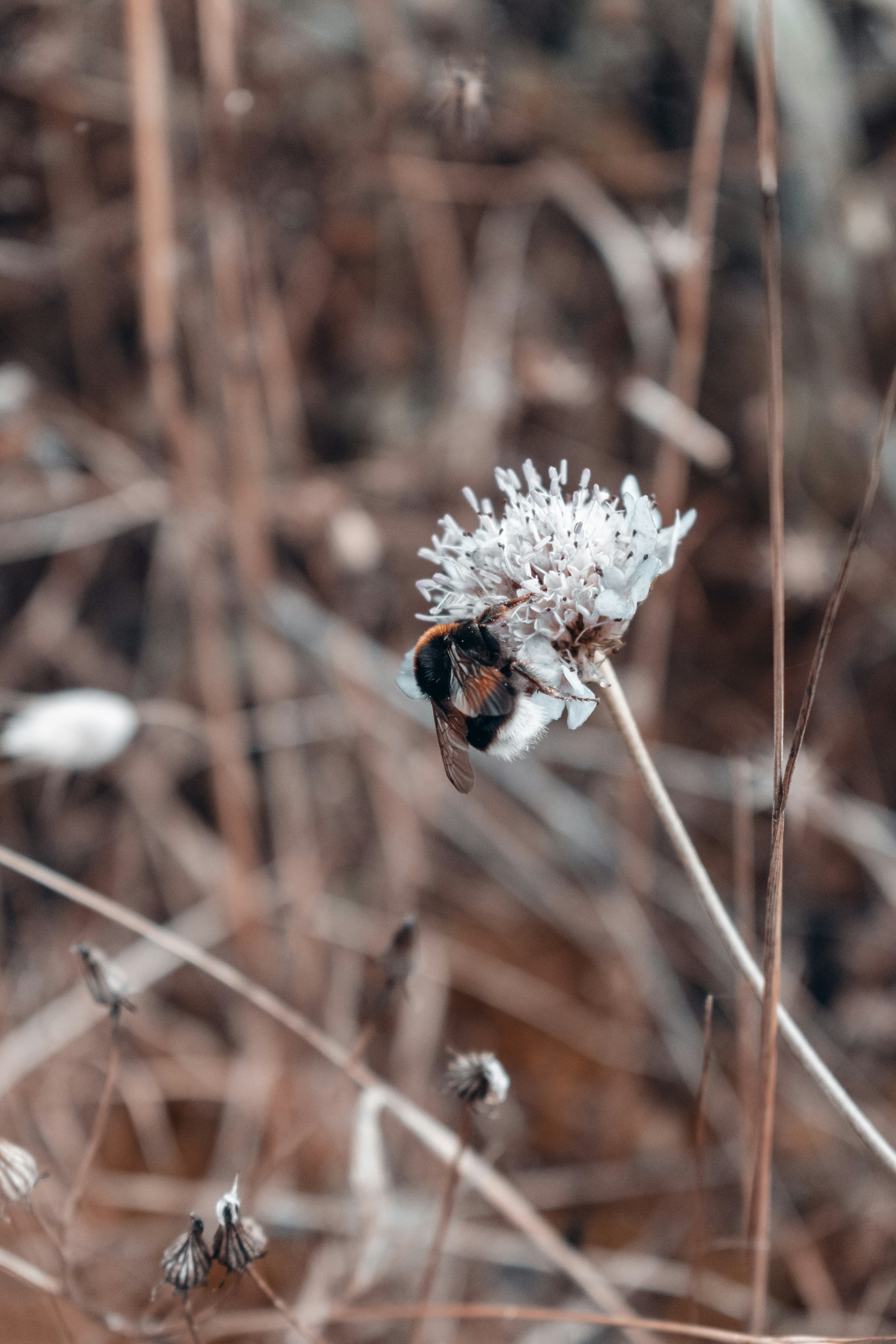 Photo by vadym_alyekseyenko