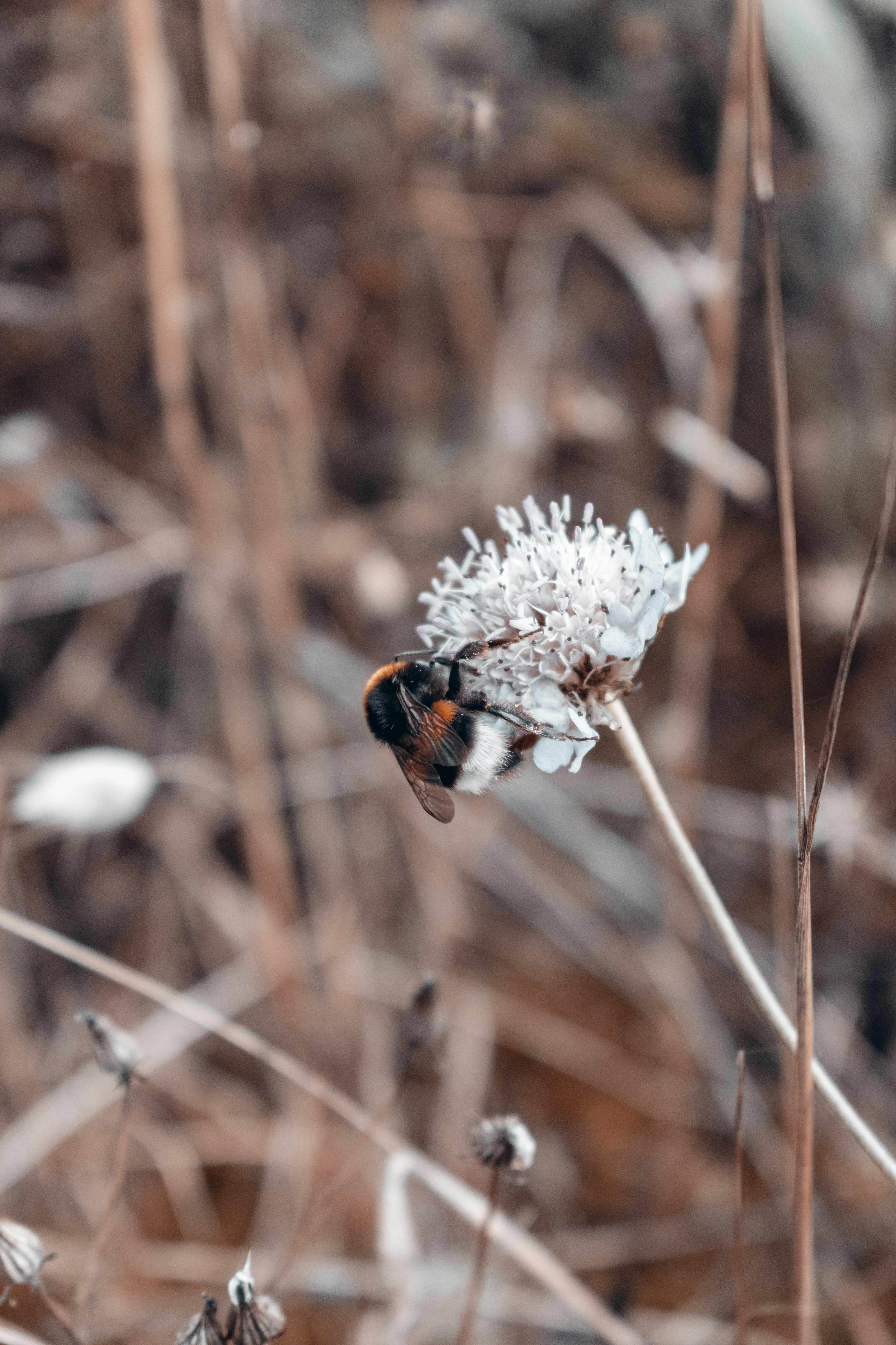Photo by vadym_alyekseyenko