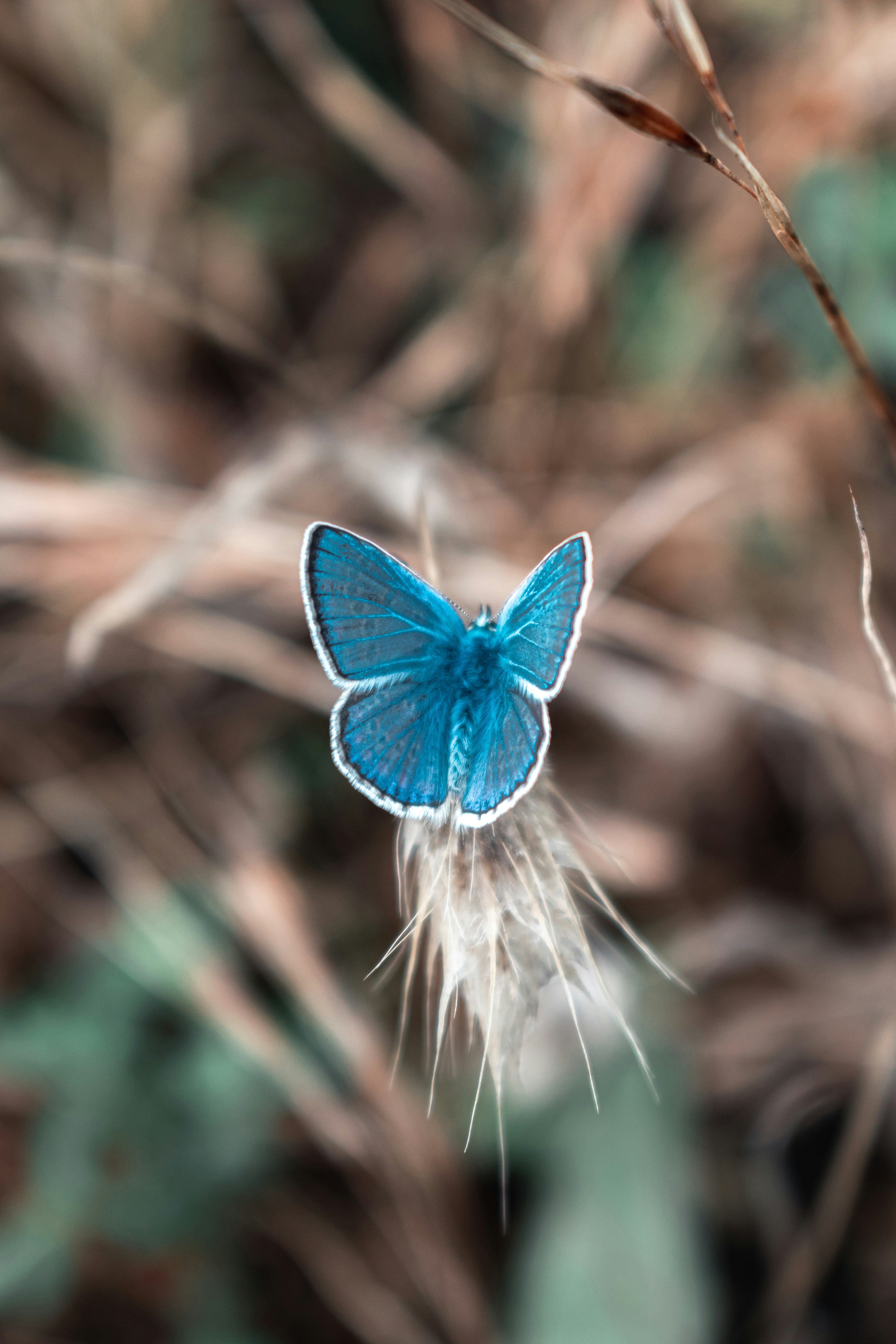 Photo by vadym_alyekseyenko