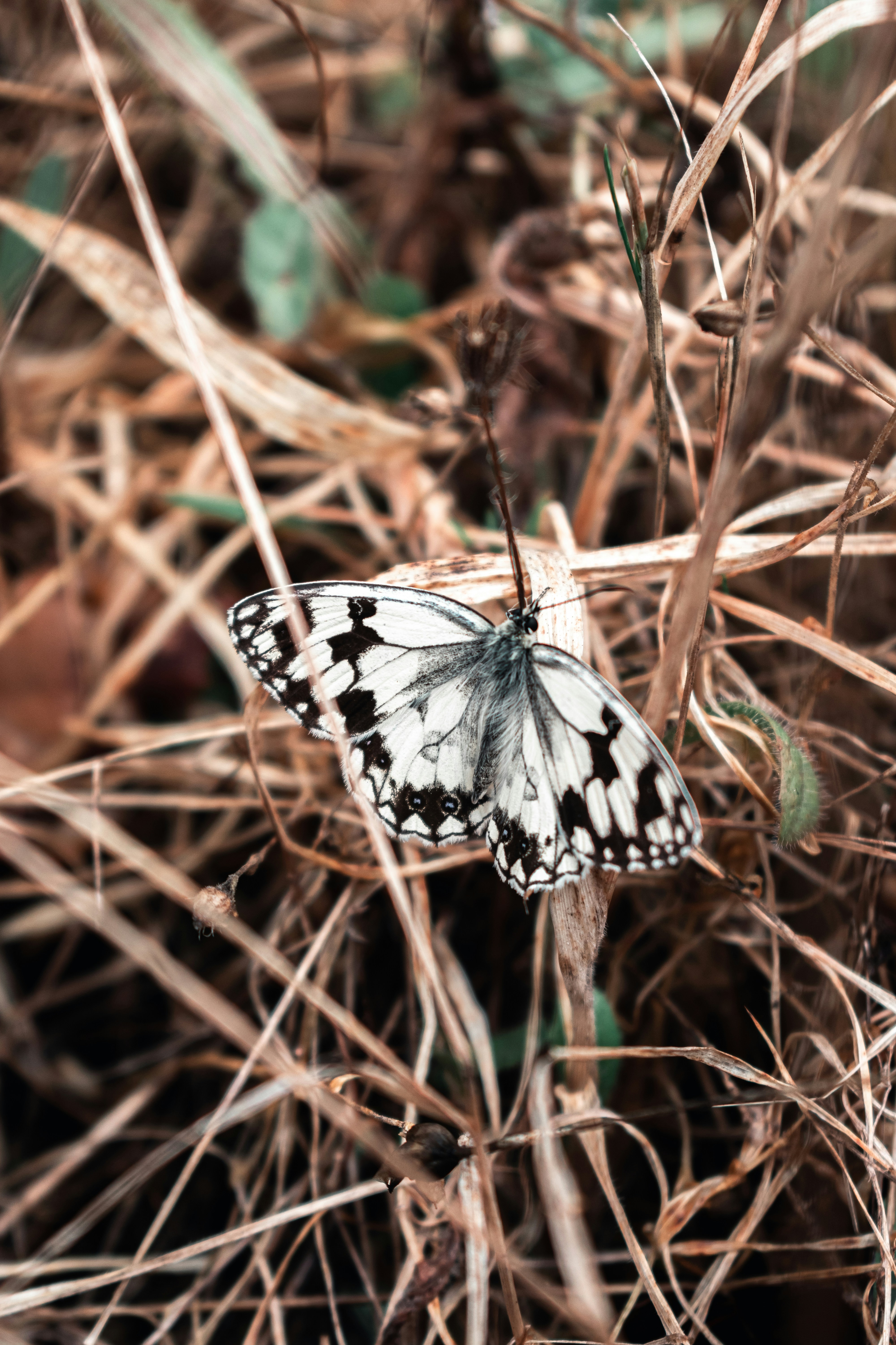 Photo by vadym_alyekseyenko