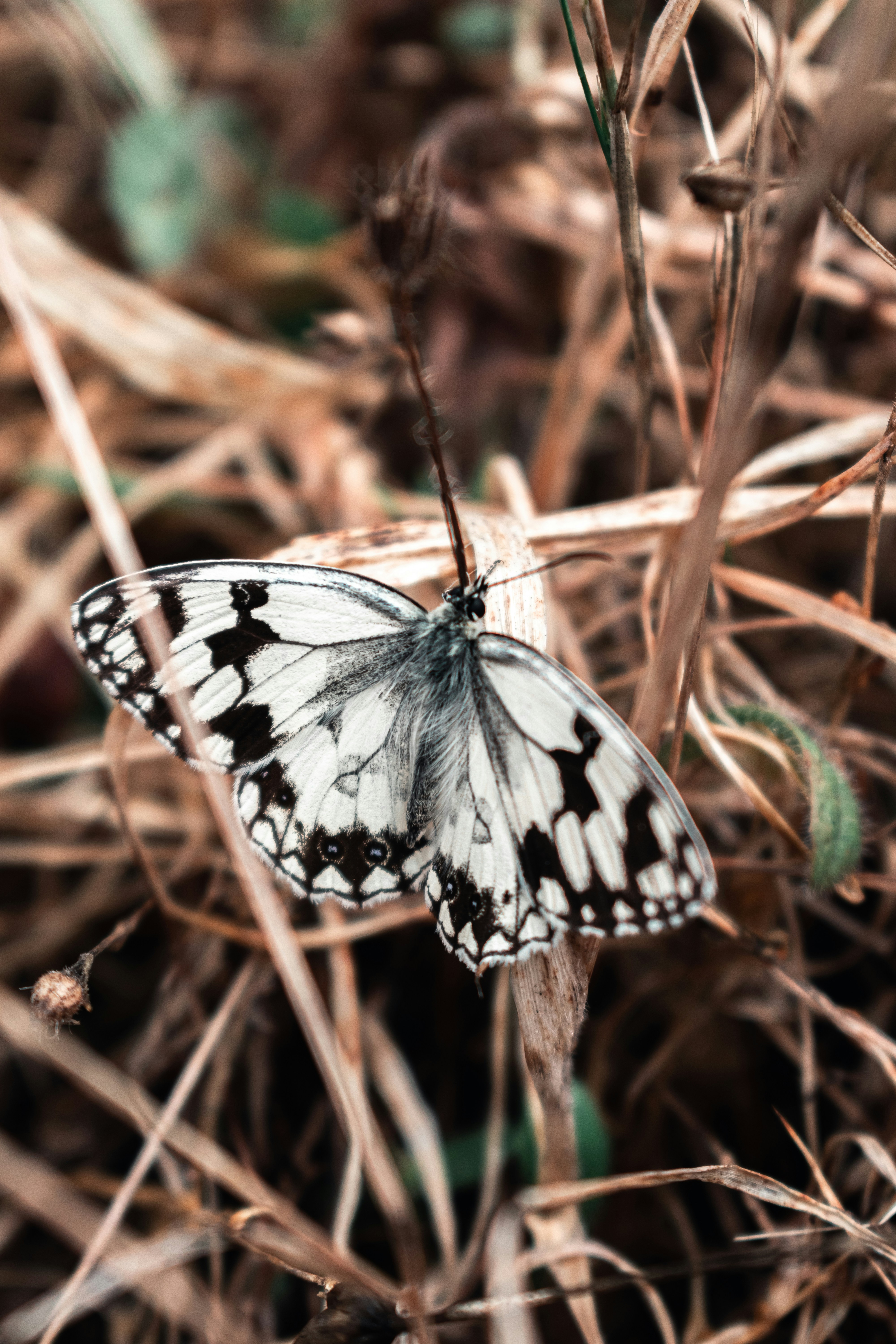 Photo by vadym_alyekseyenko