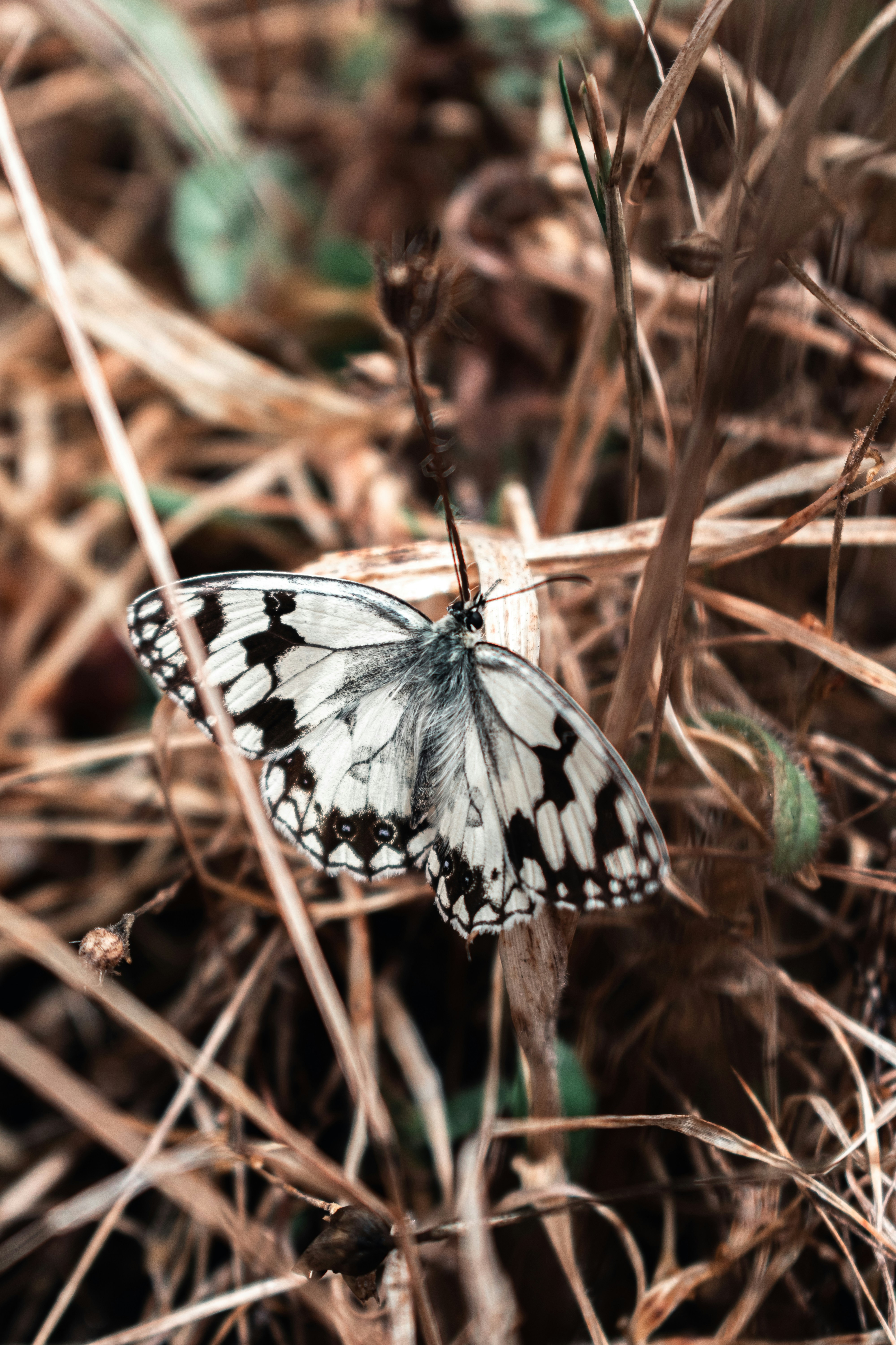 Photo by vadym_alyekseyenko