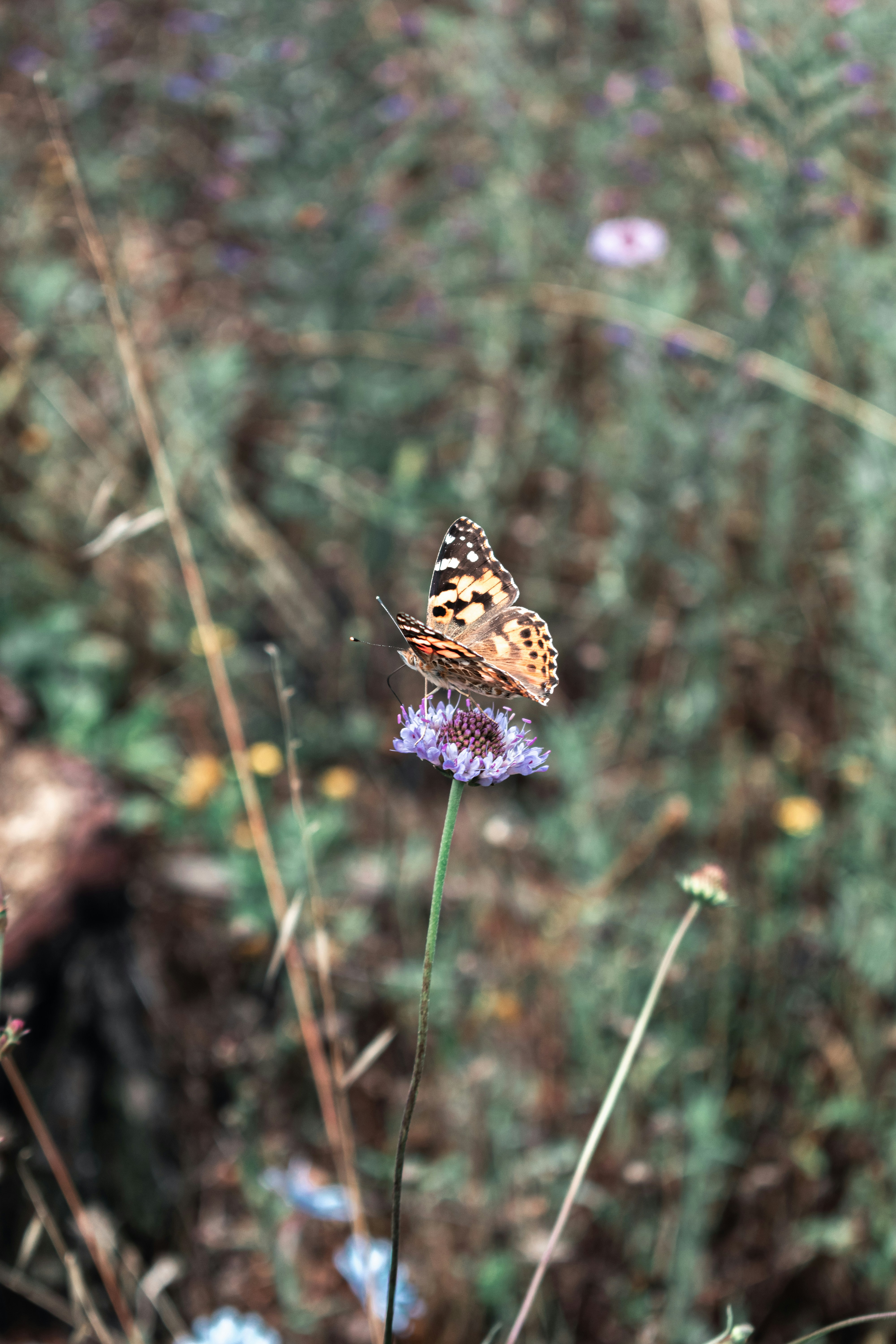 Photo by vadym_alyekseyenko