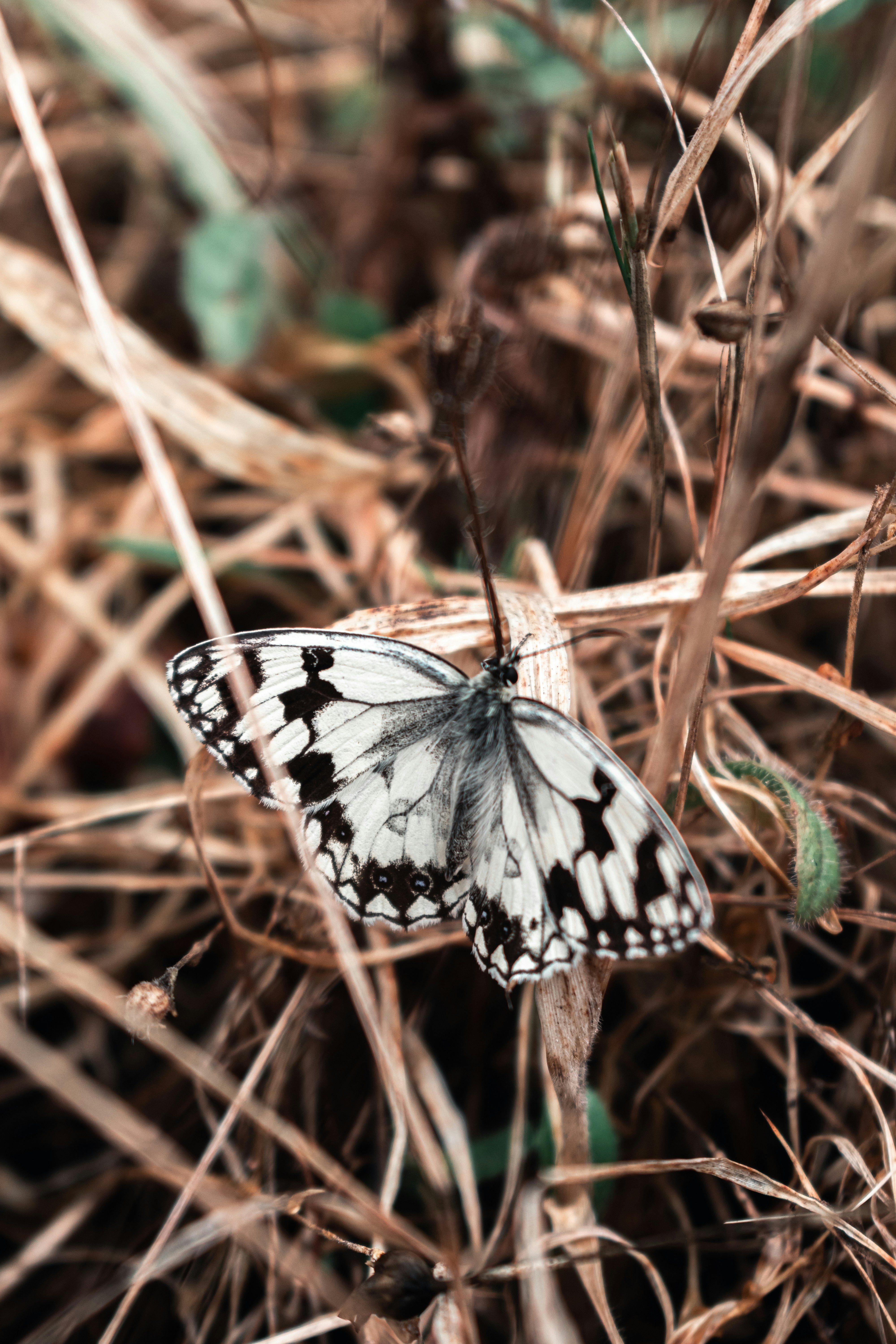 Photo by vadym_alyekseyenko
