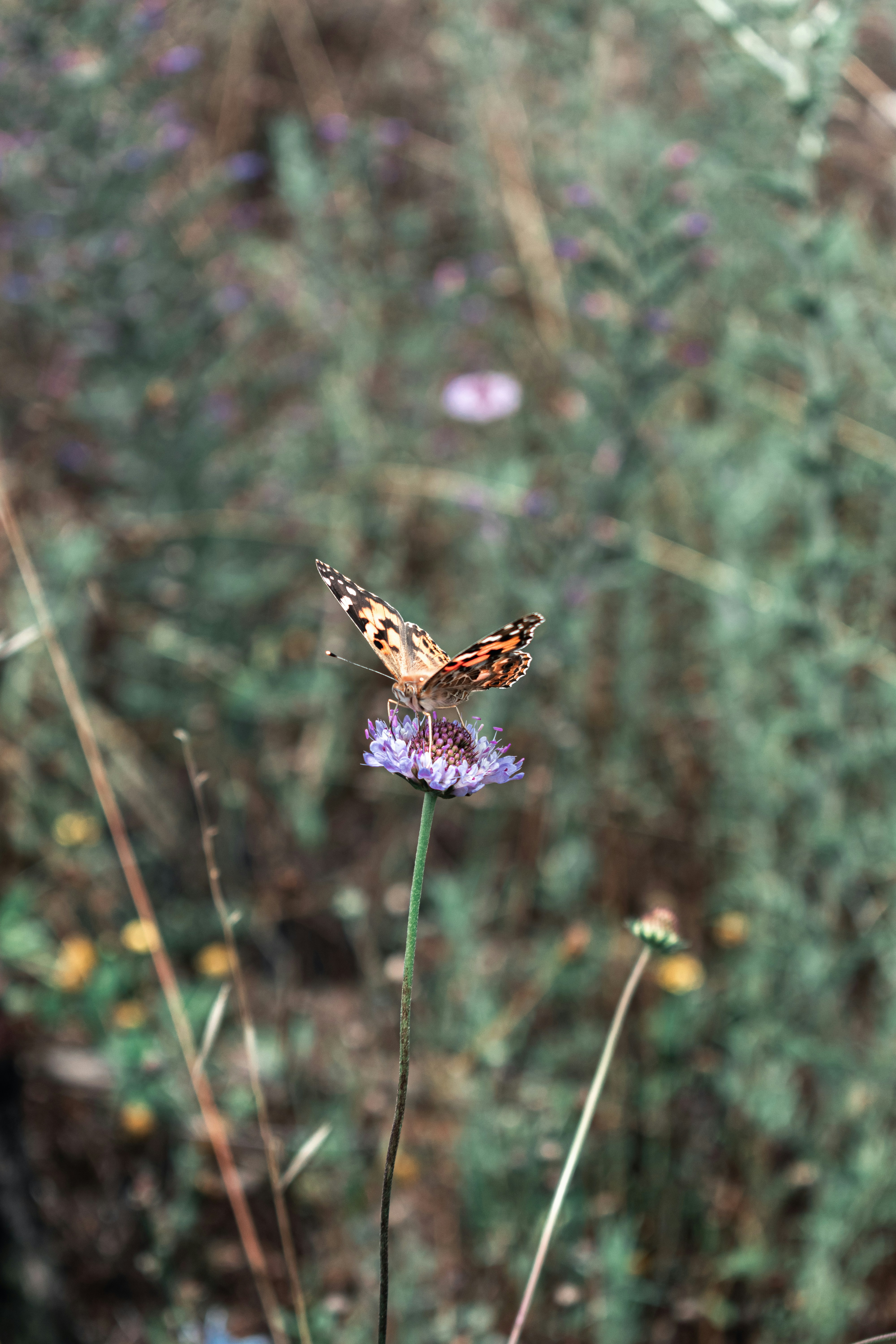 Photo by vadym_alyekseyenko