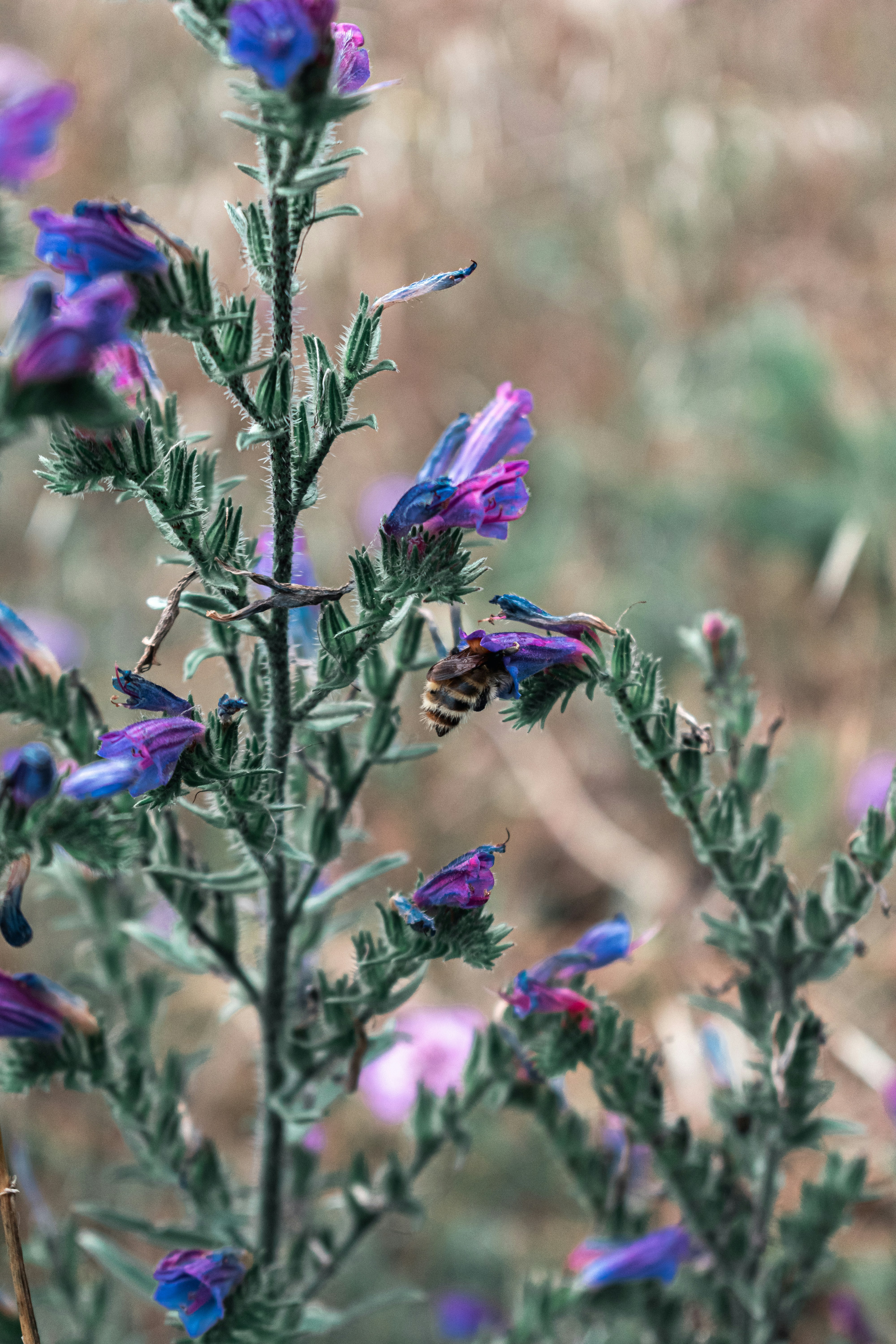 Photo by vadym_alyekseyenko