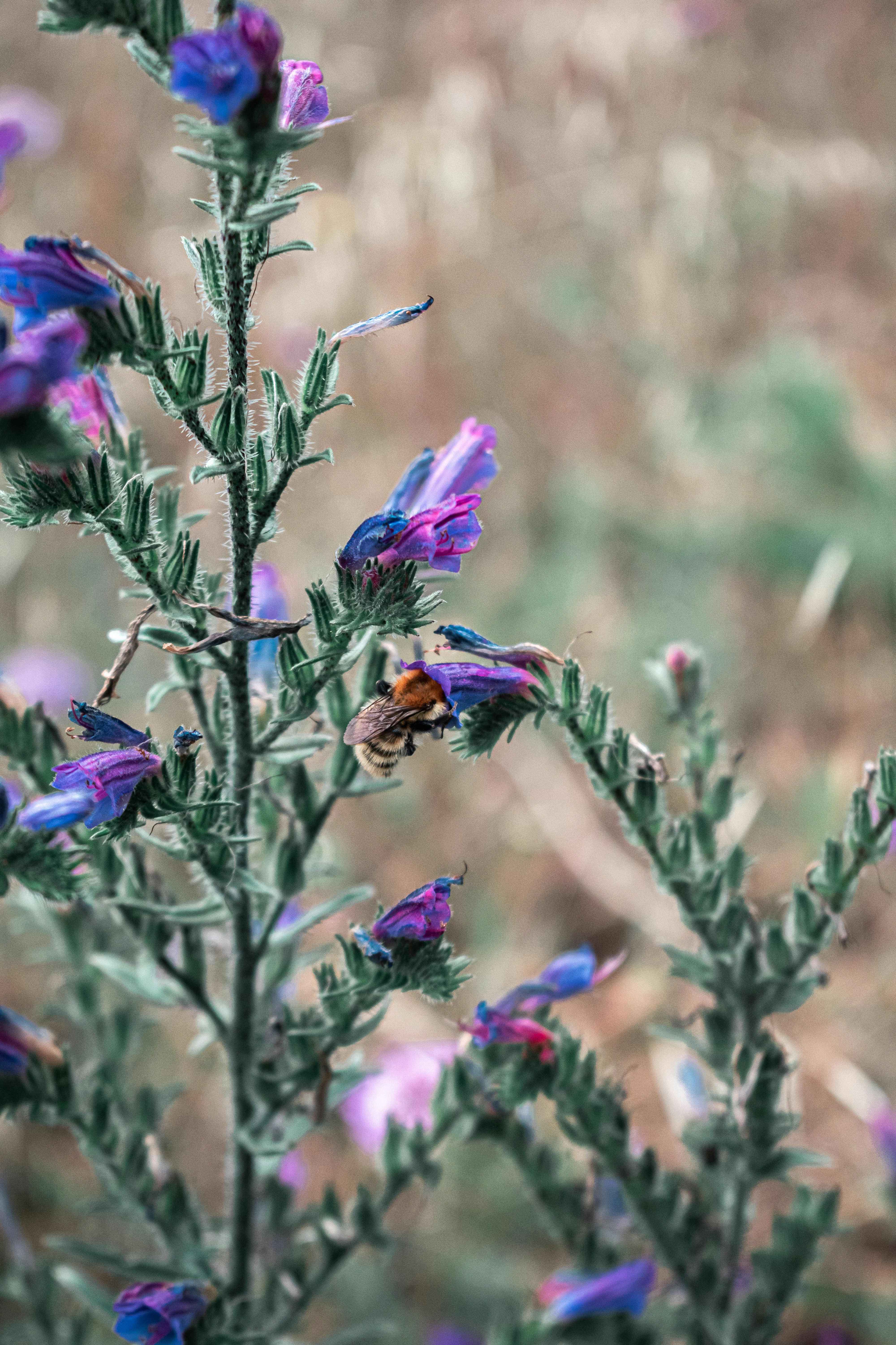 Photo by vadym_alyekseyenko