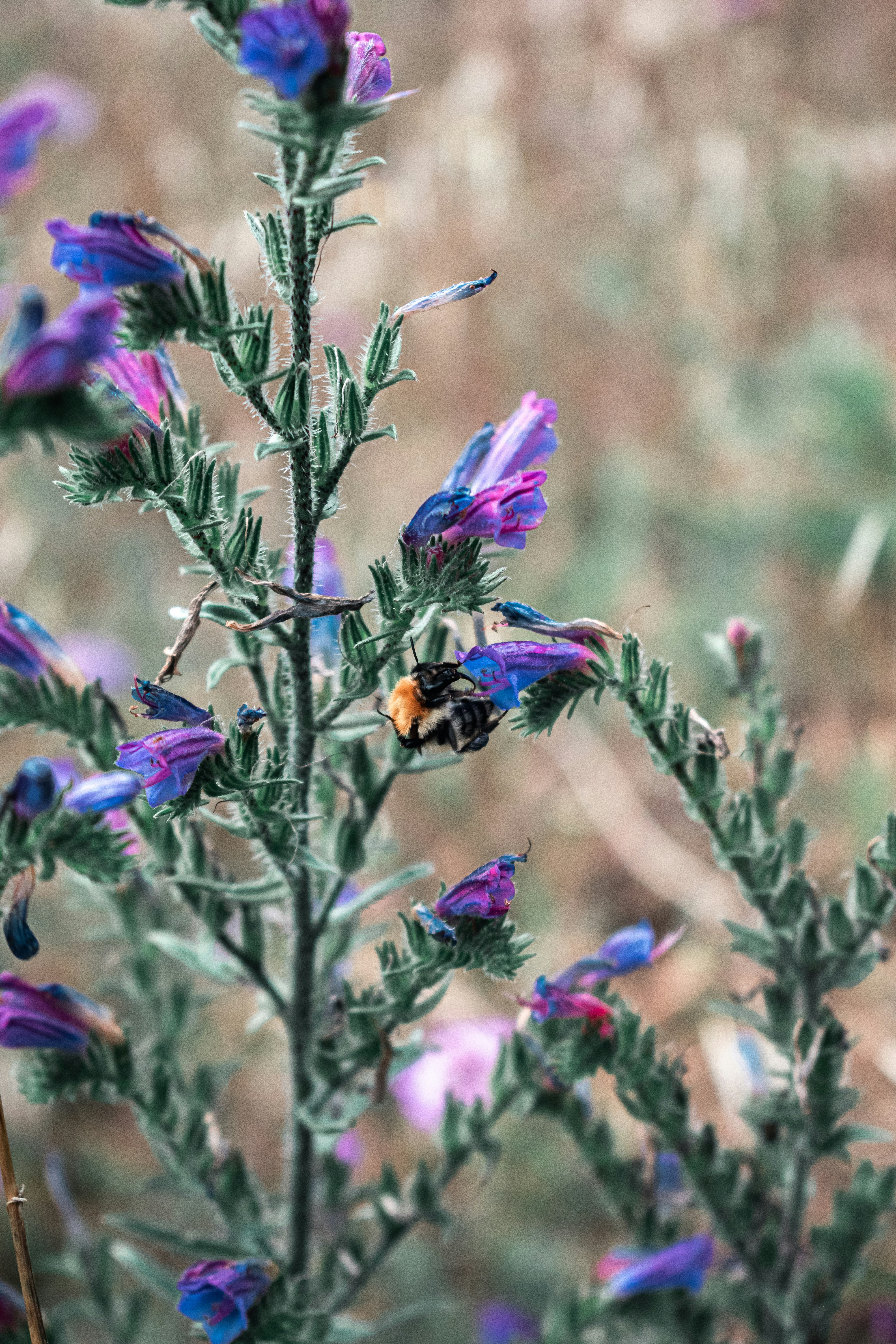 Photo by vadym_alyekseyenko