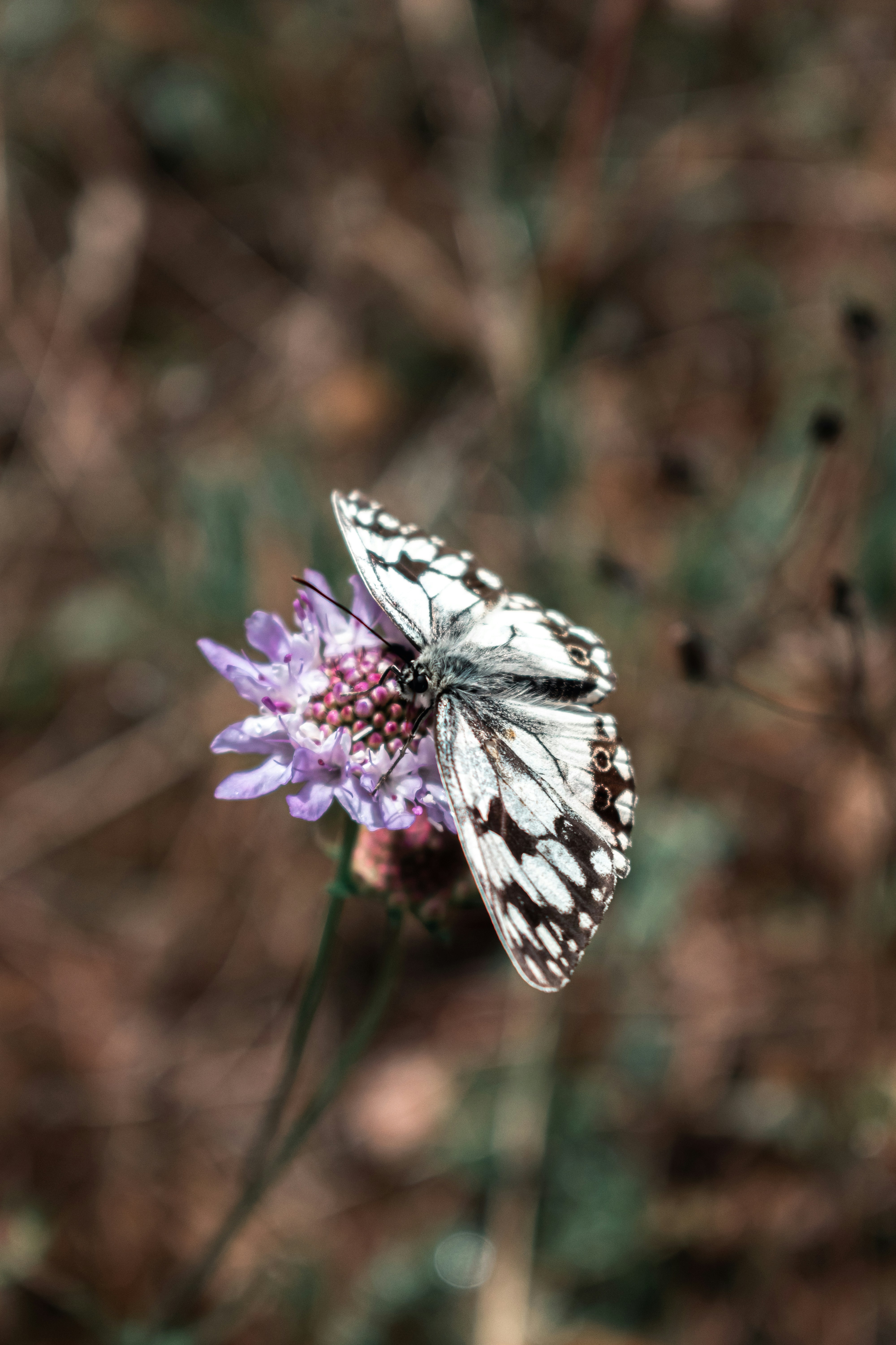 Photo by vadym_alyekseyenko