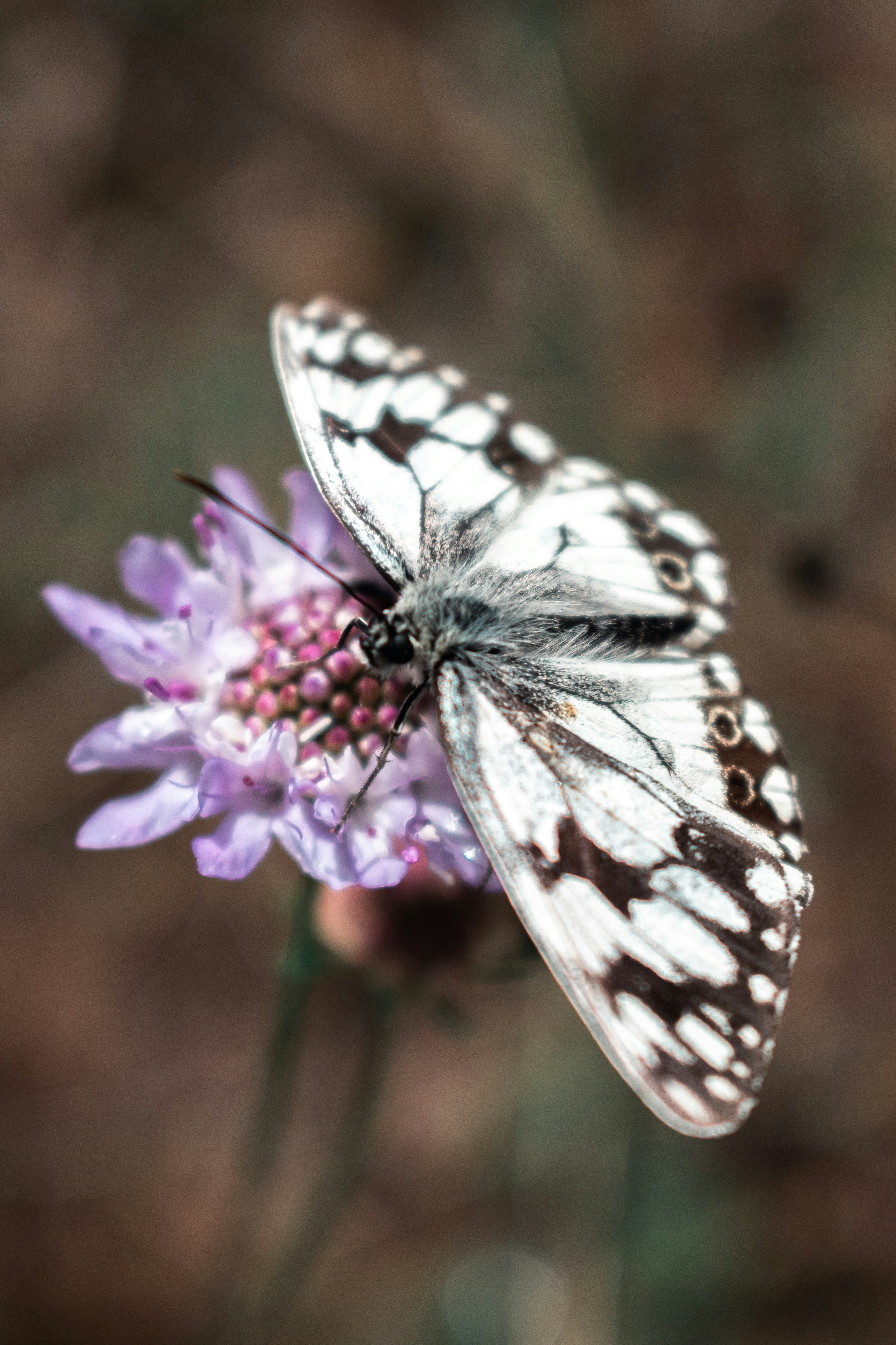 Photo by vadym_alyekseyenko