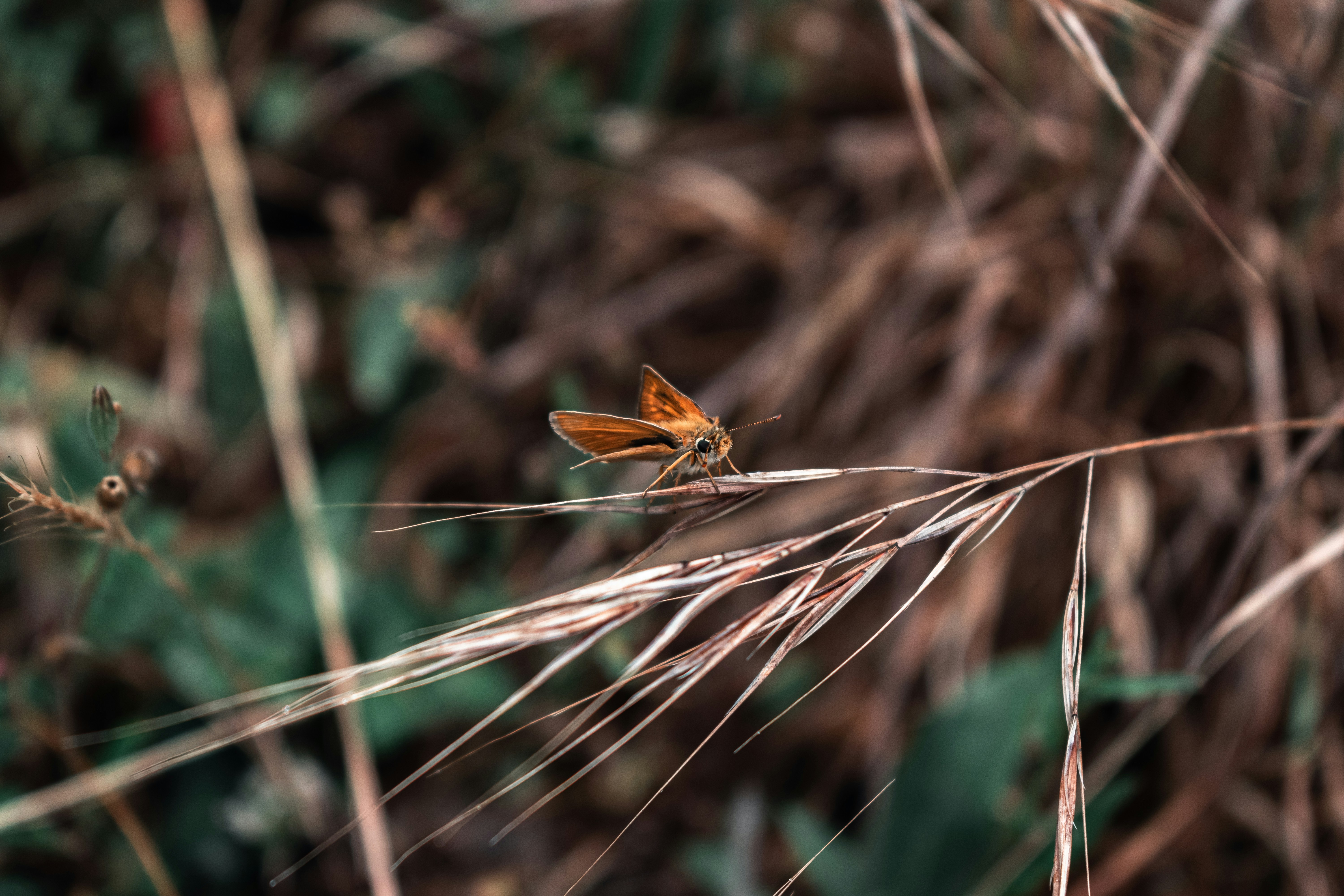 Photo by vadym_alyekseyenko