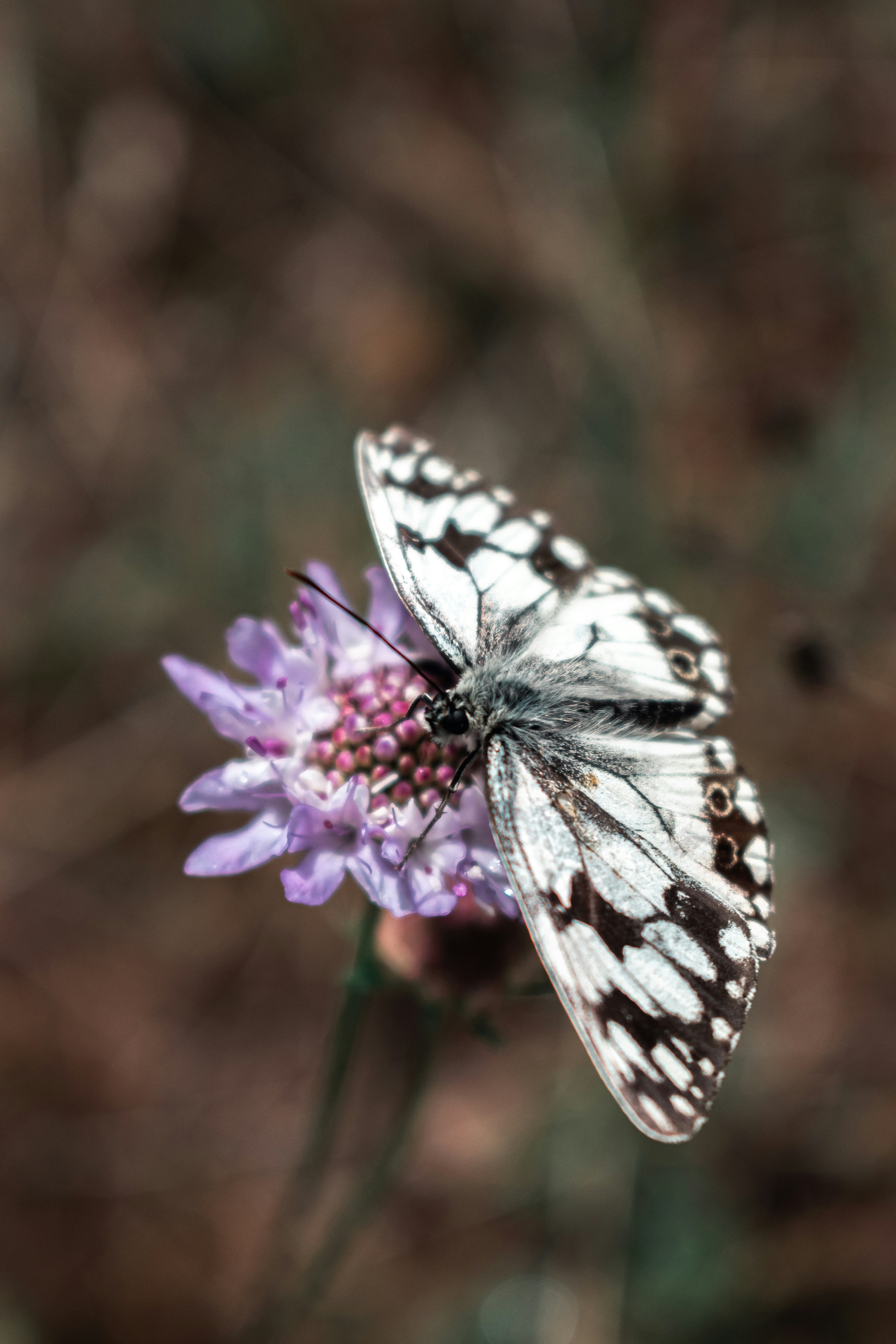 Photo by vadym_alyekseyenko