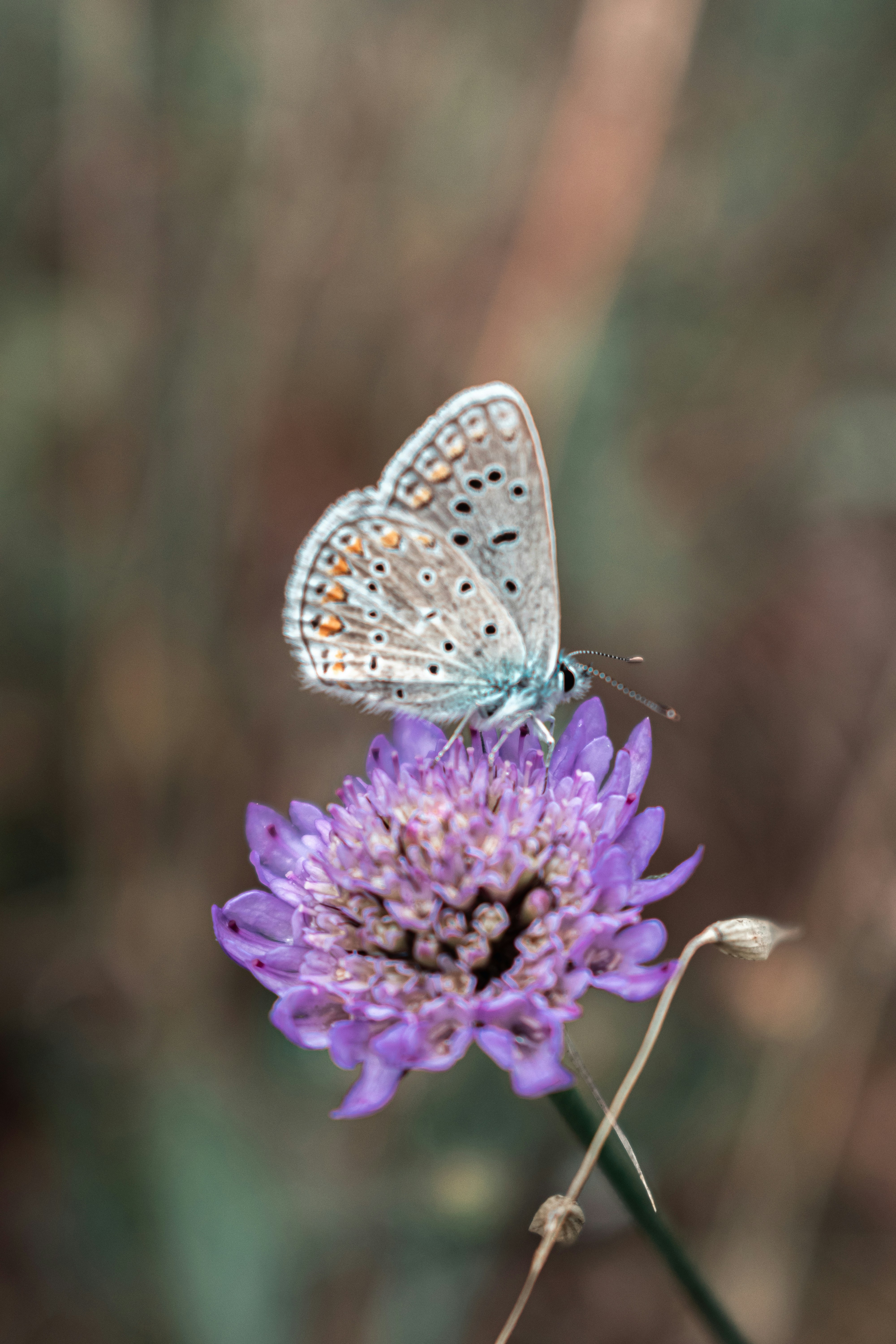 Photo by vadym_alyekseyenko