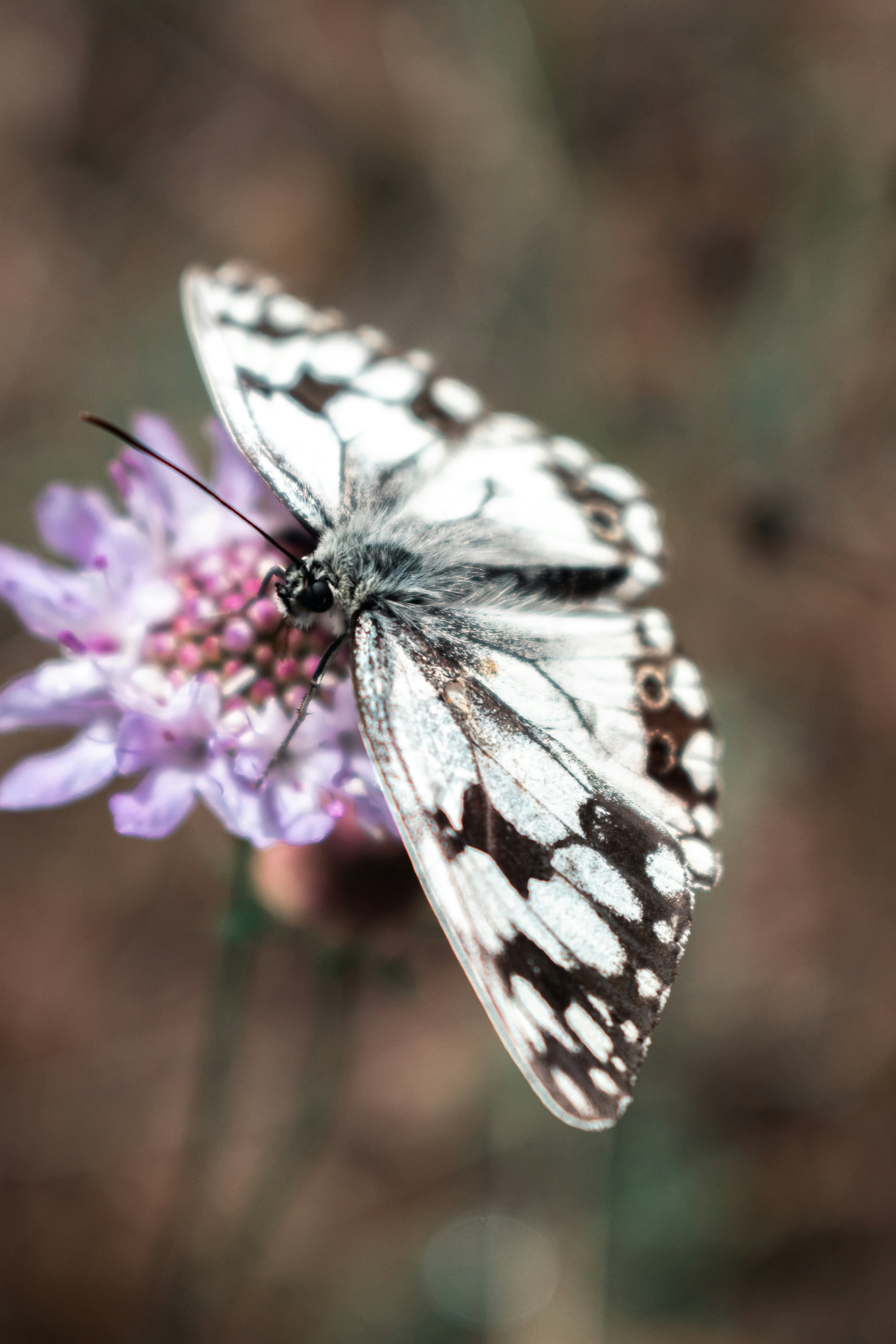 Photo by vadym_alyekseyenko