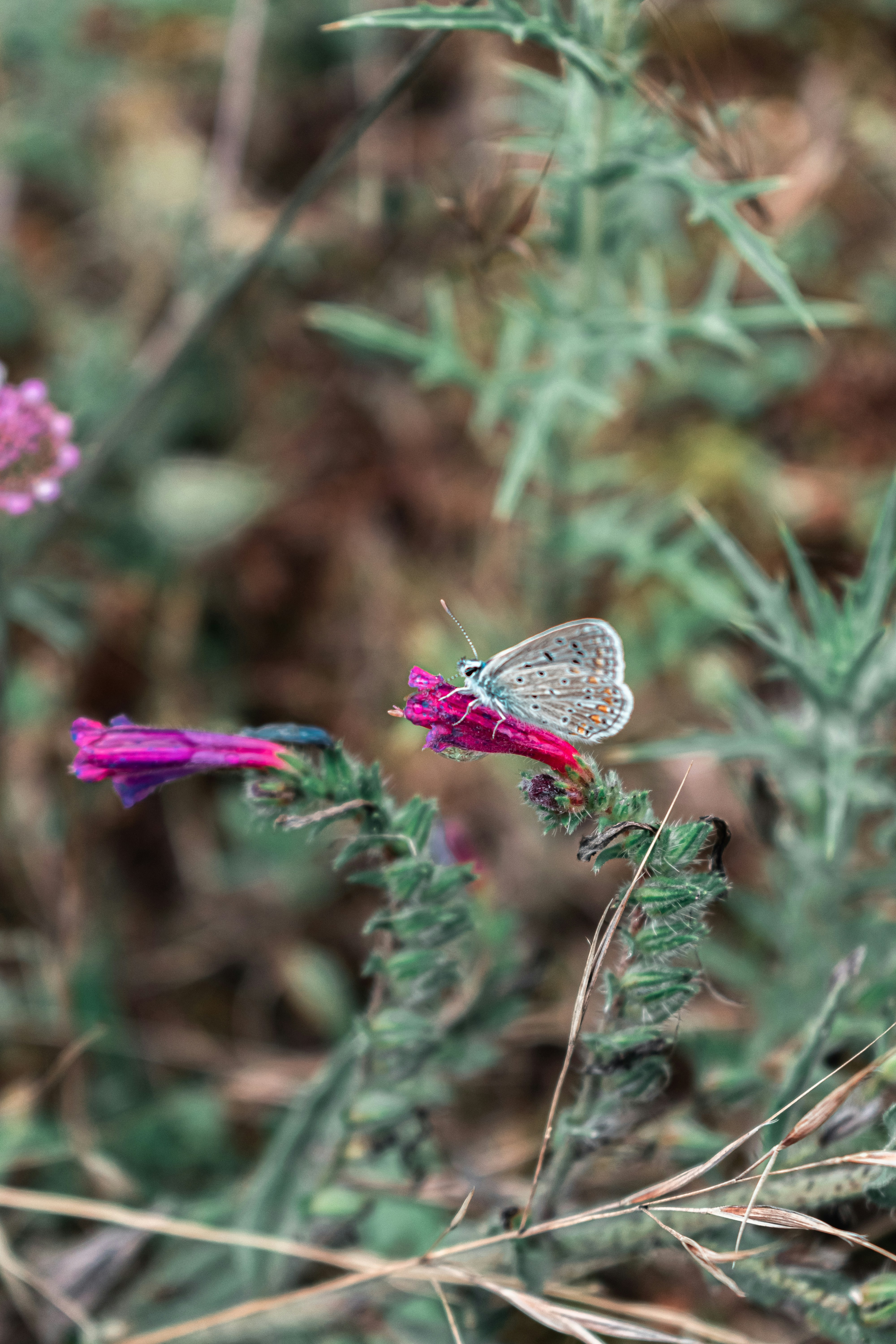 Photo by vadym_alyekseyenko
