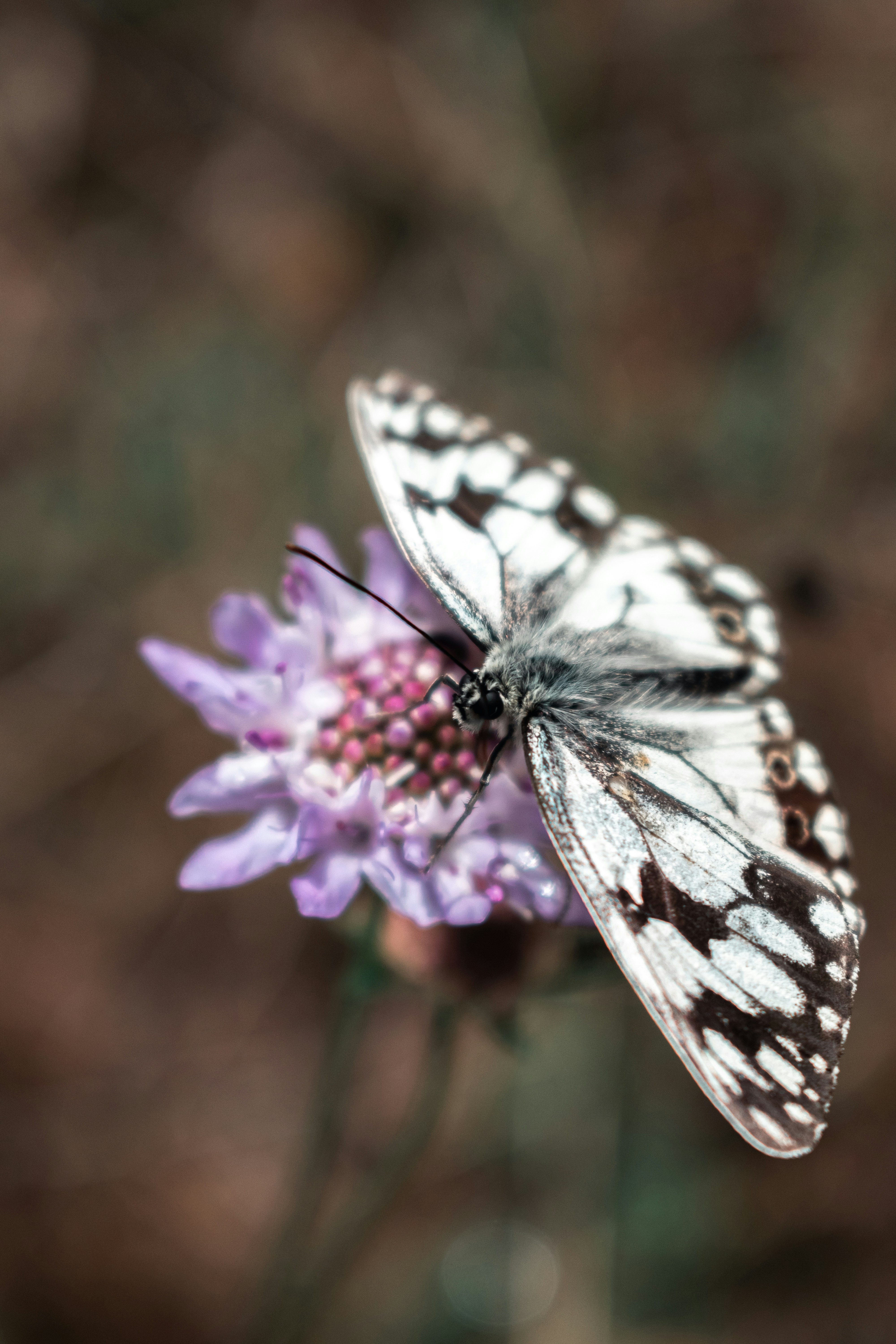 Photo by vadym_alyekseyenko