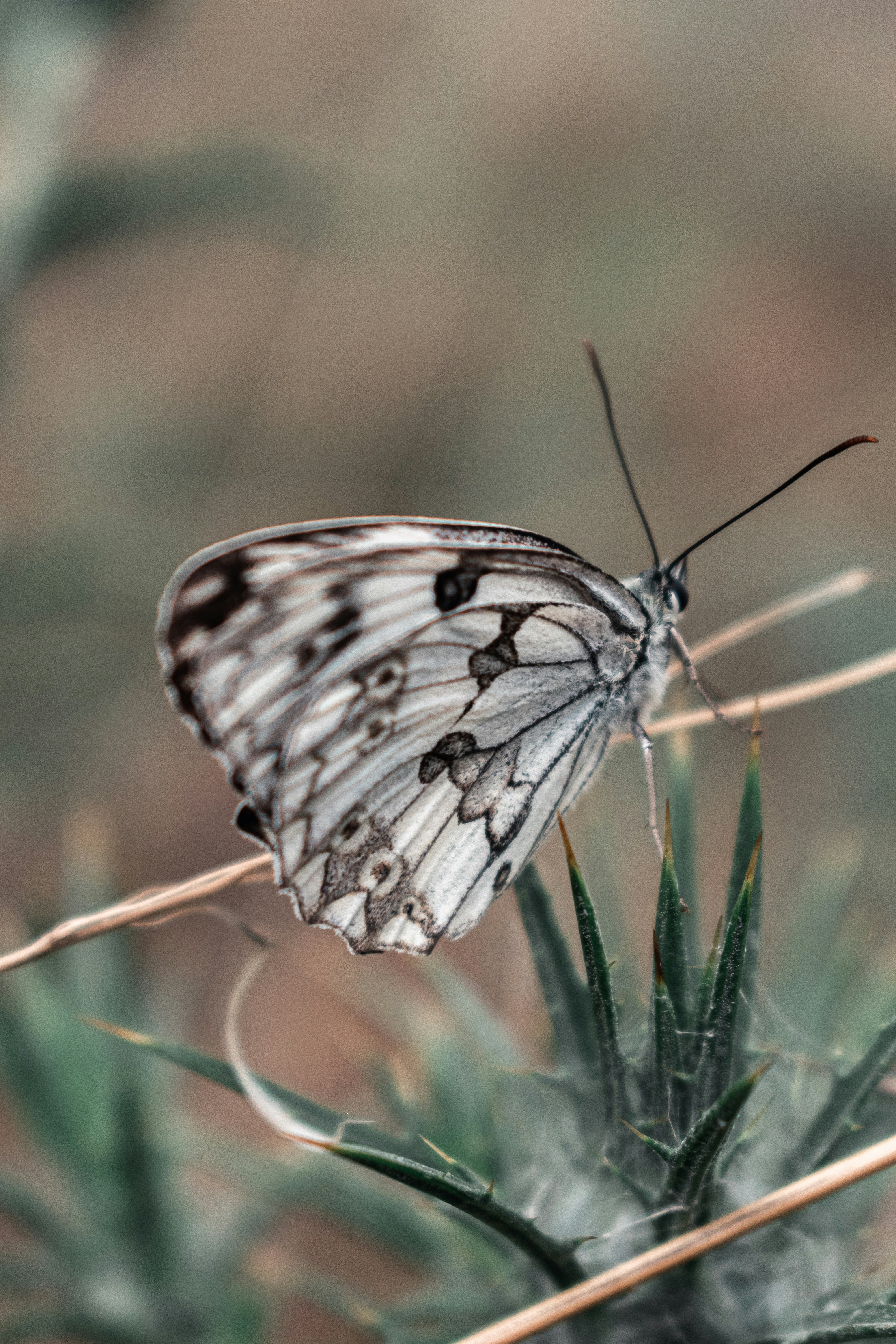 Photo by vadym_alyekseyenko