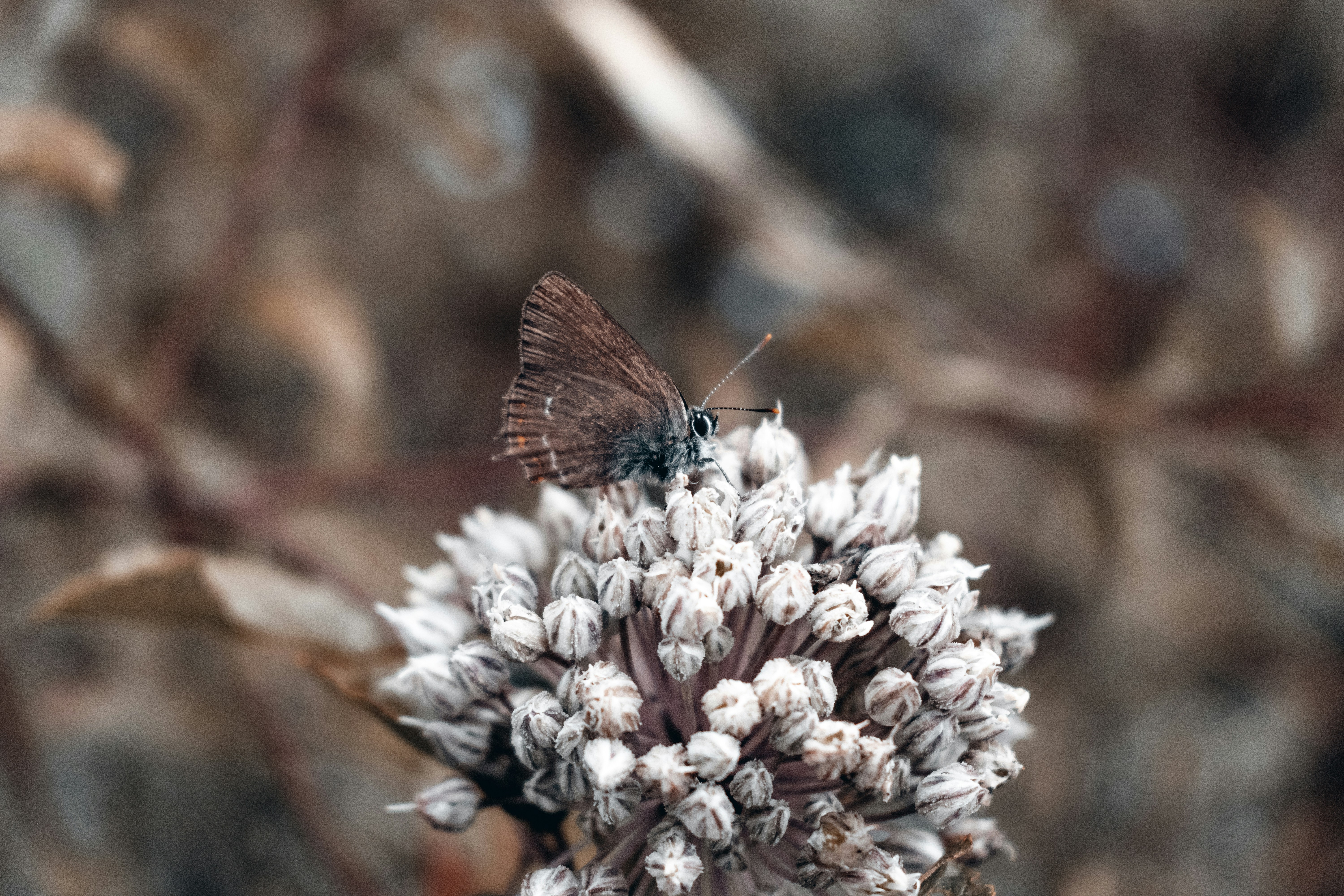 Photo by vadym_alyekseyenko