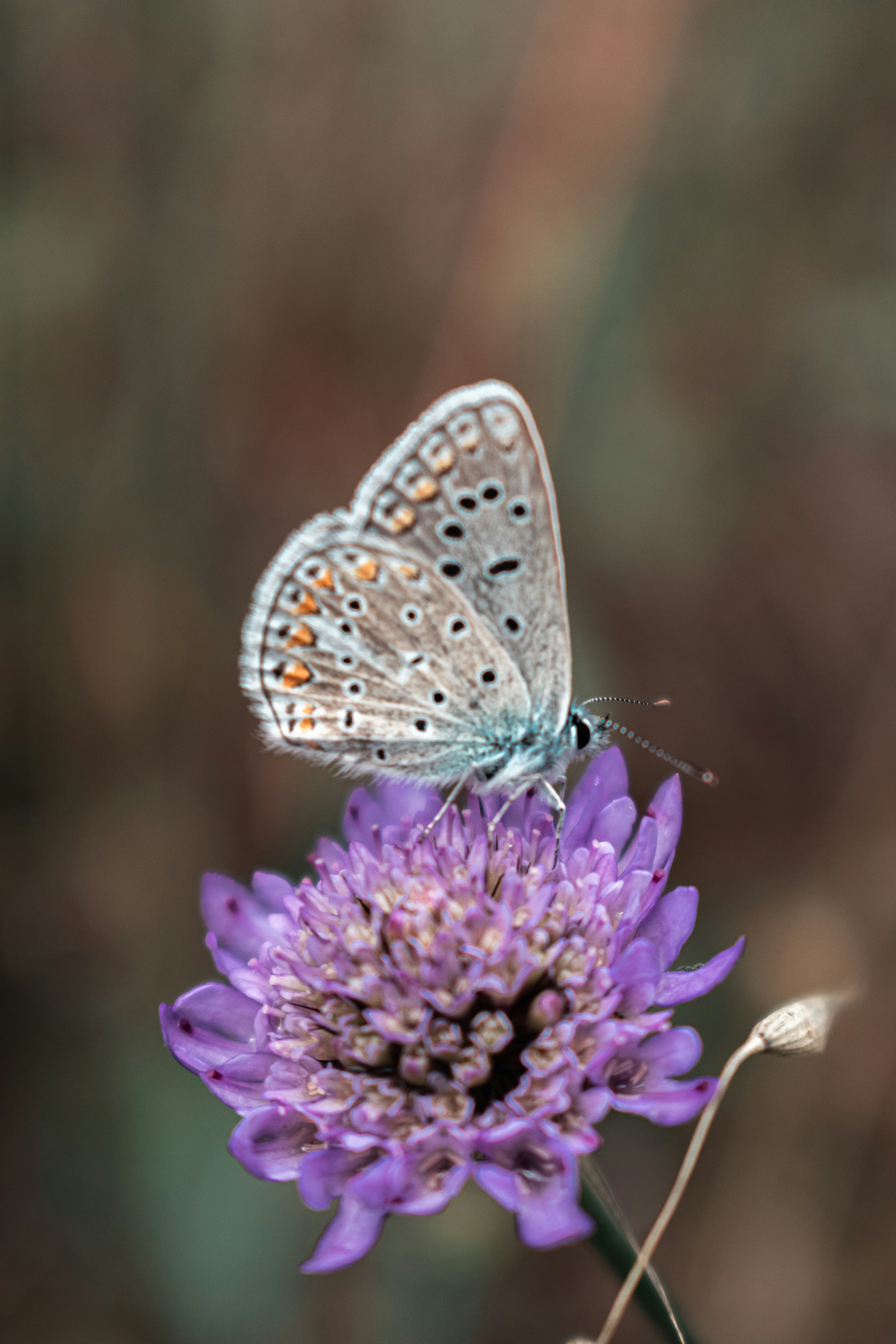 Photo by vadym_alyekseyenko