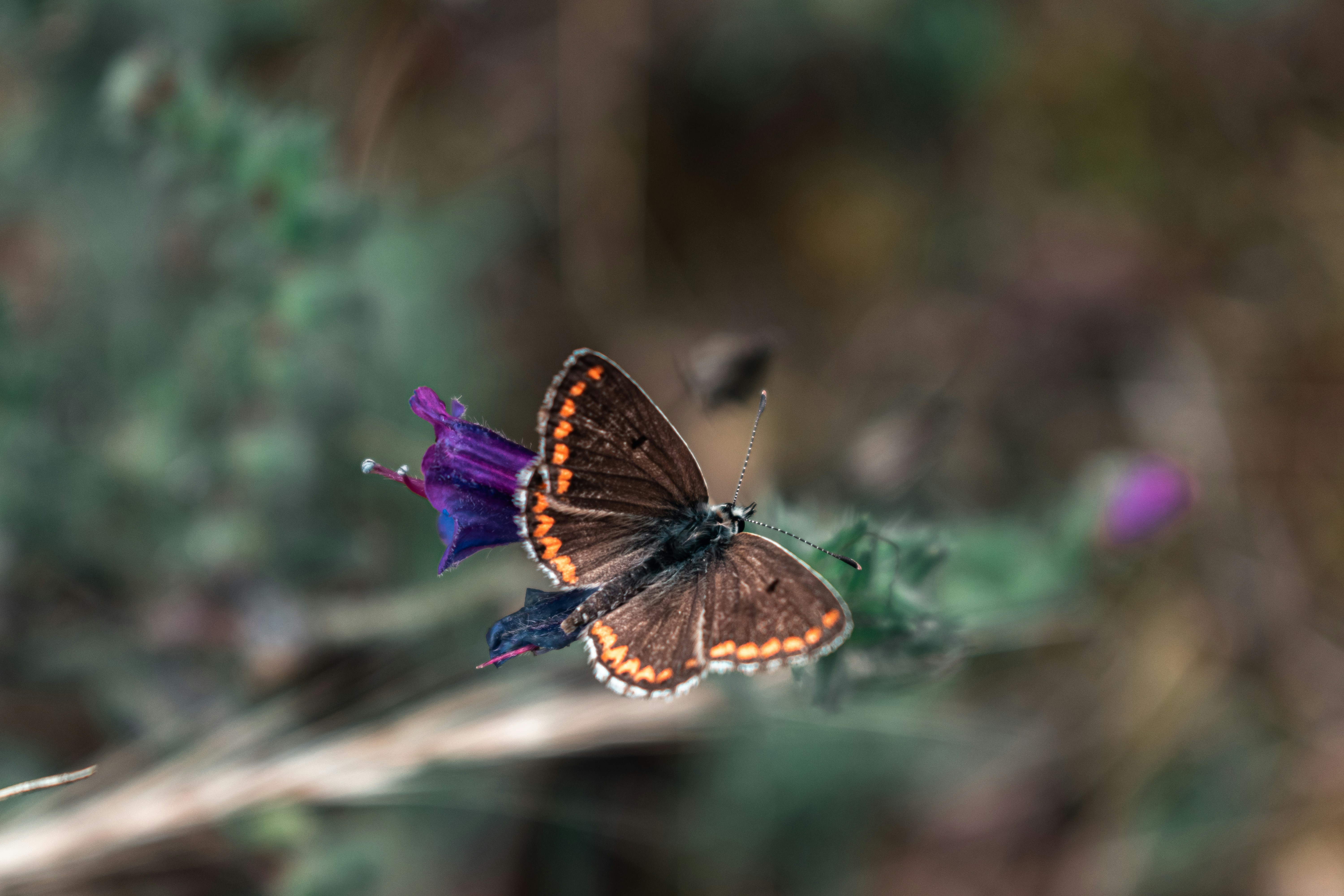 Photo by vadym_alyekseyenko