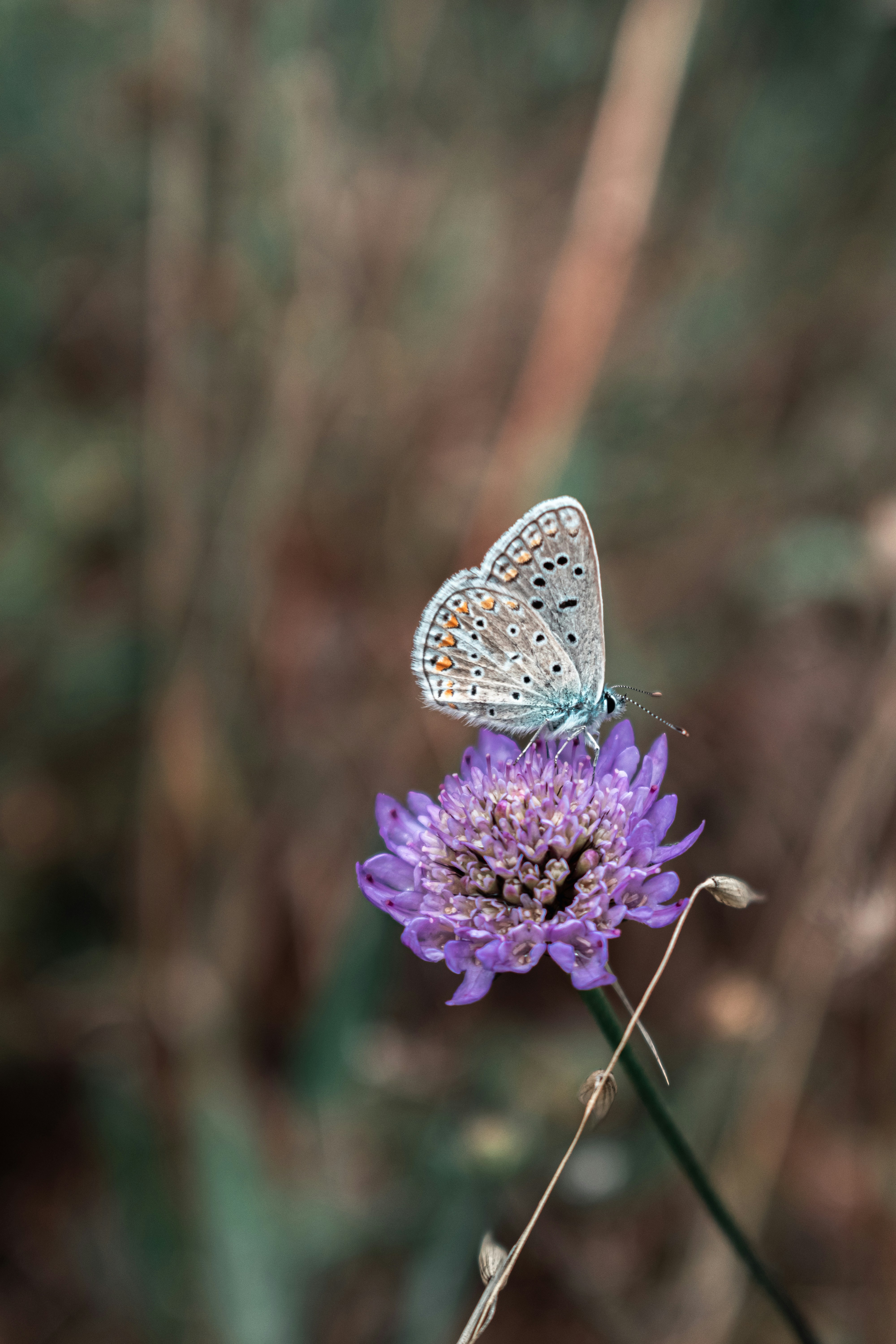 Photo by vadym_alyekseyenko