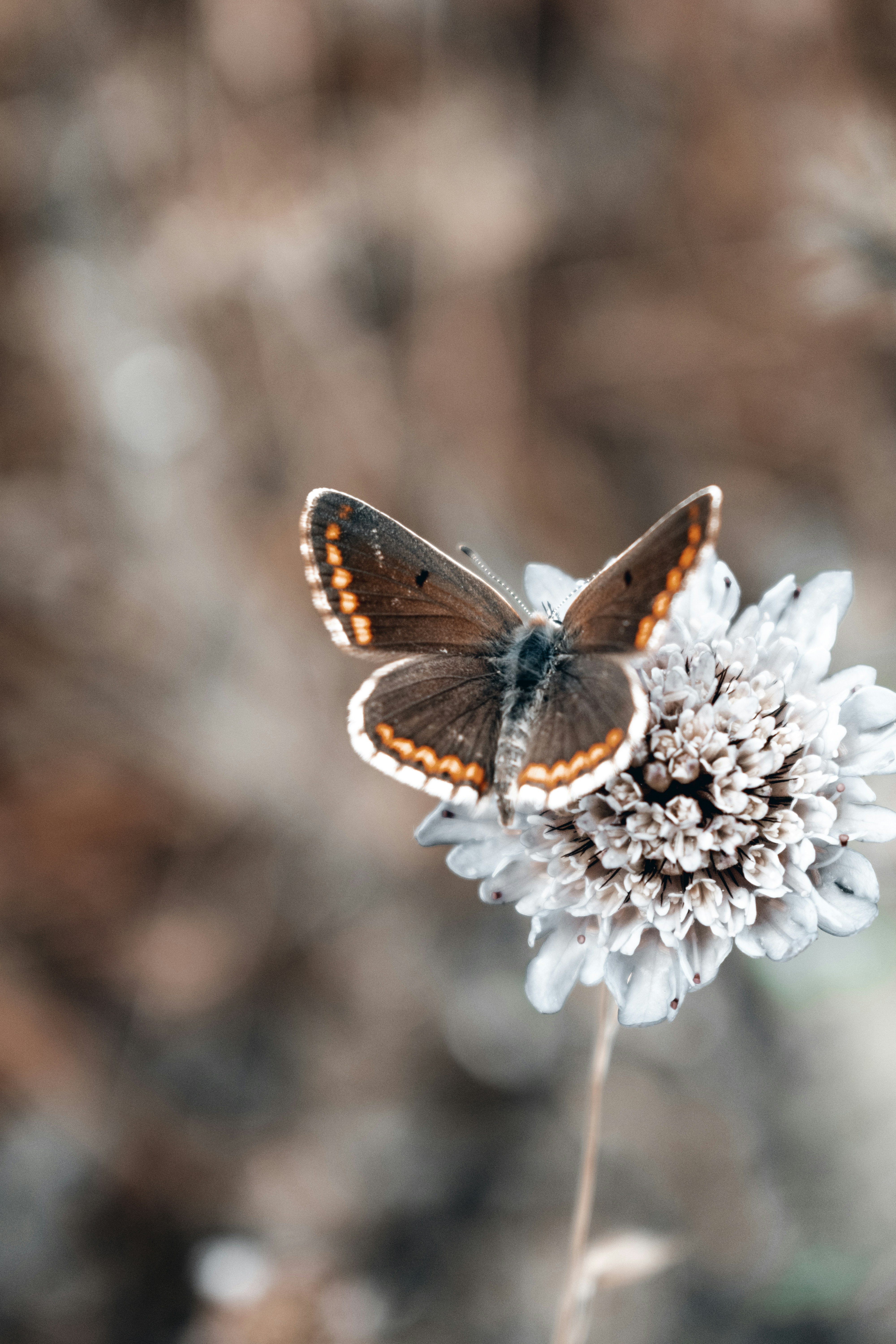 Photo by vadym_alyekseyenko