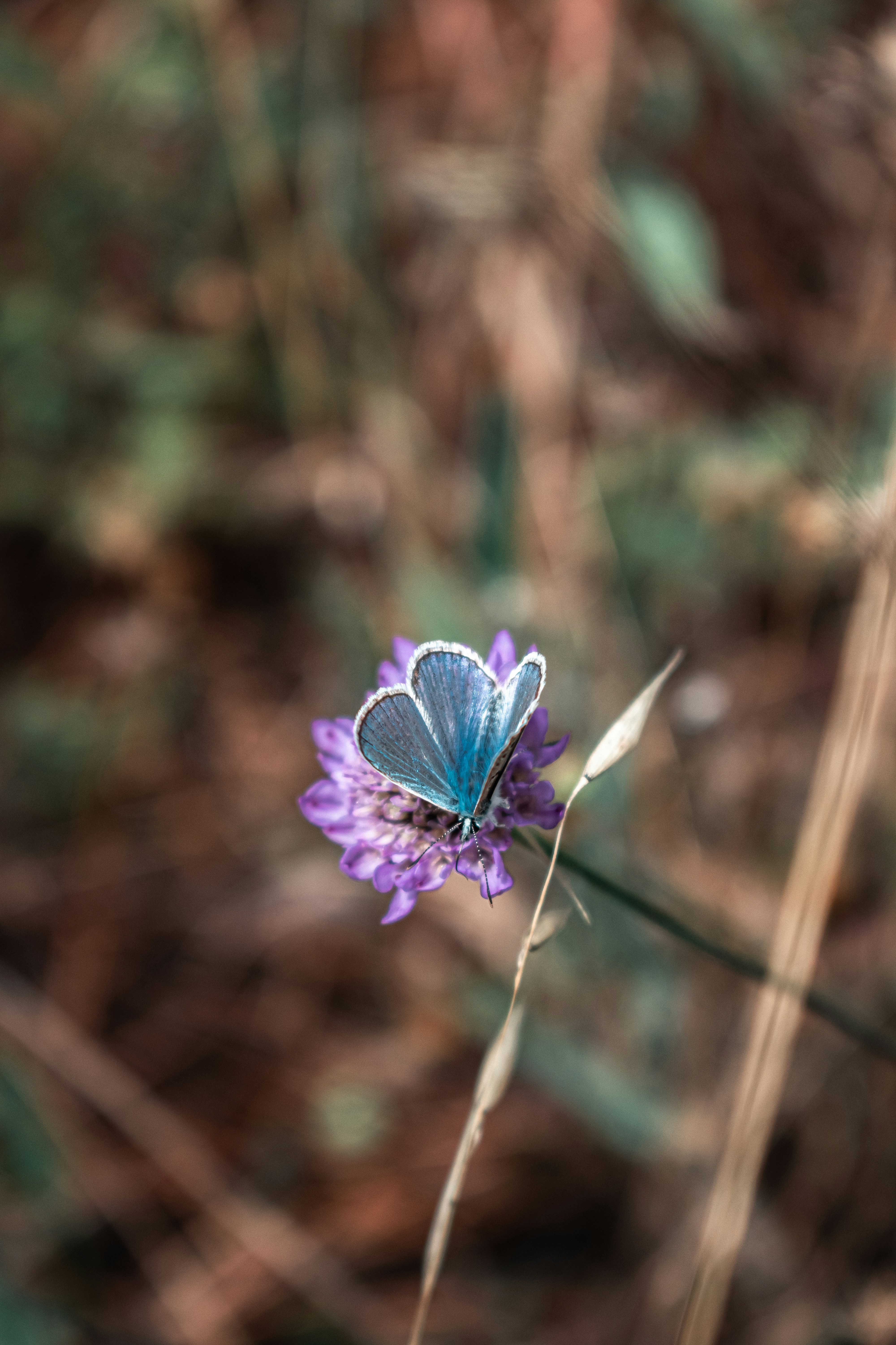 Photo by vadym_alyekseyenko