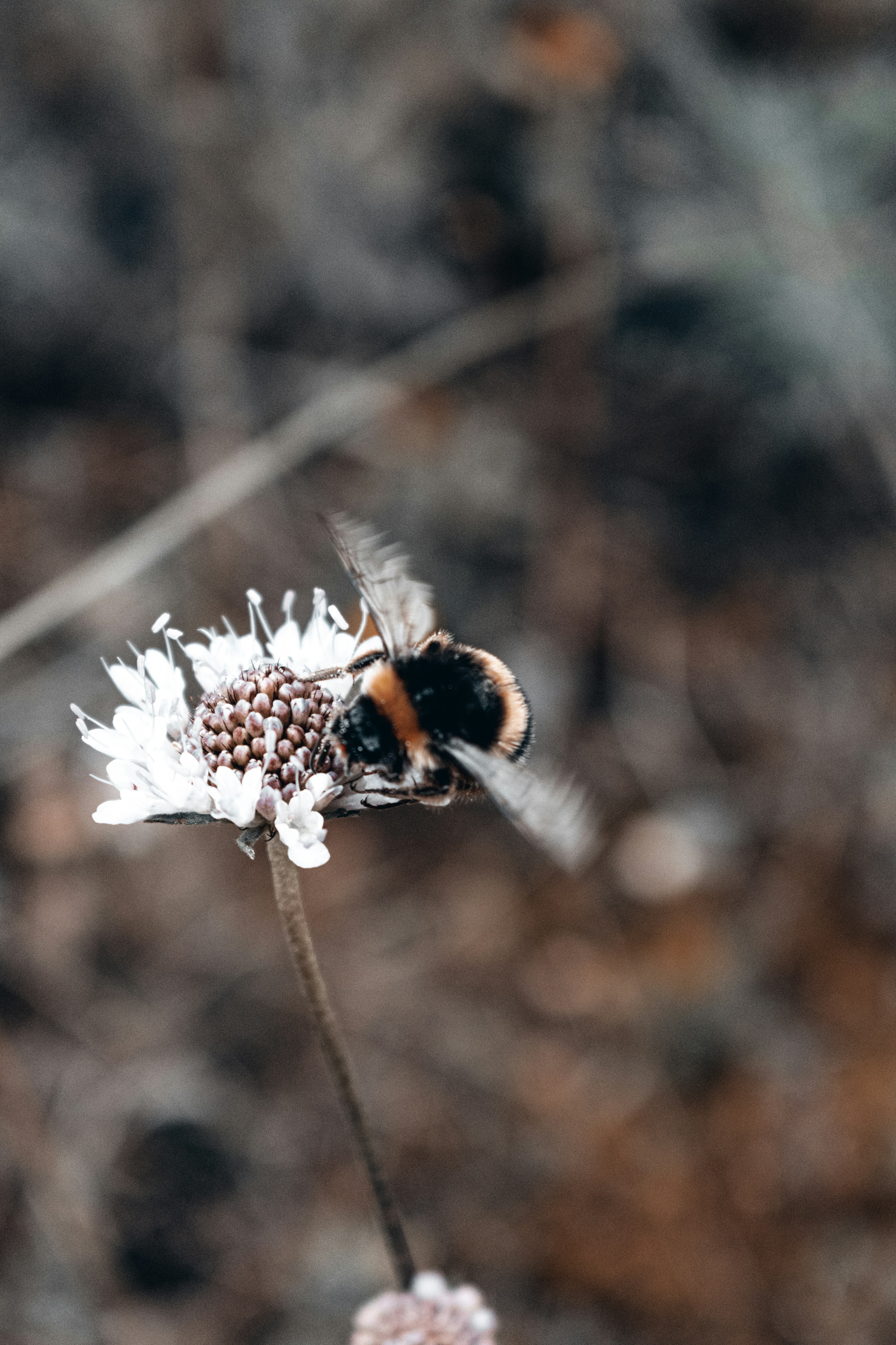 Photo by vadym_alyekseyenko