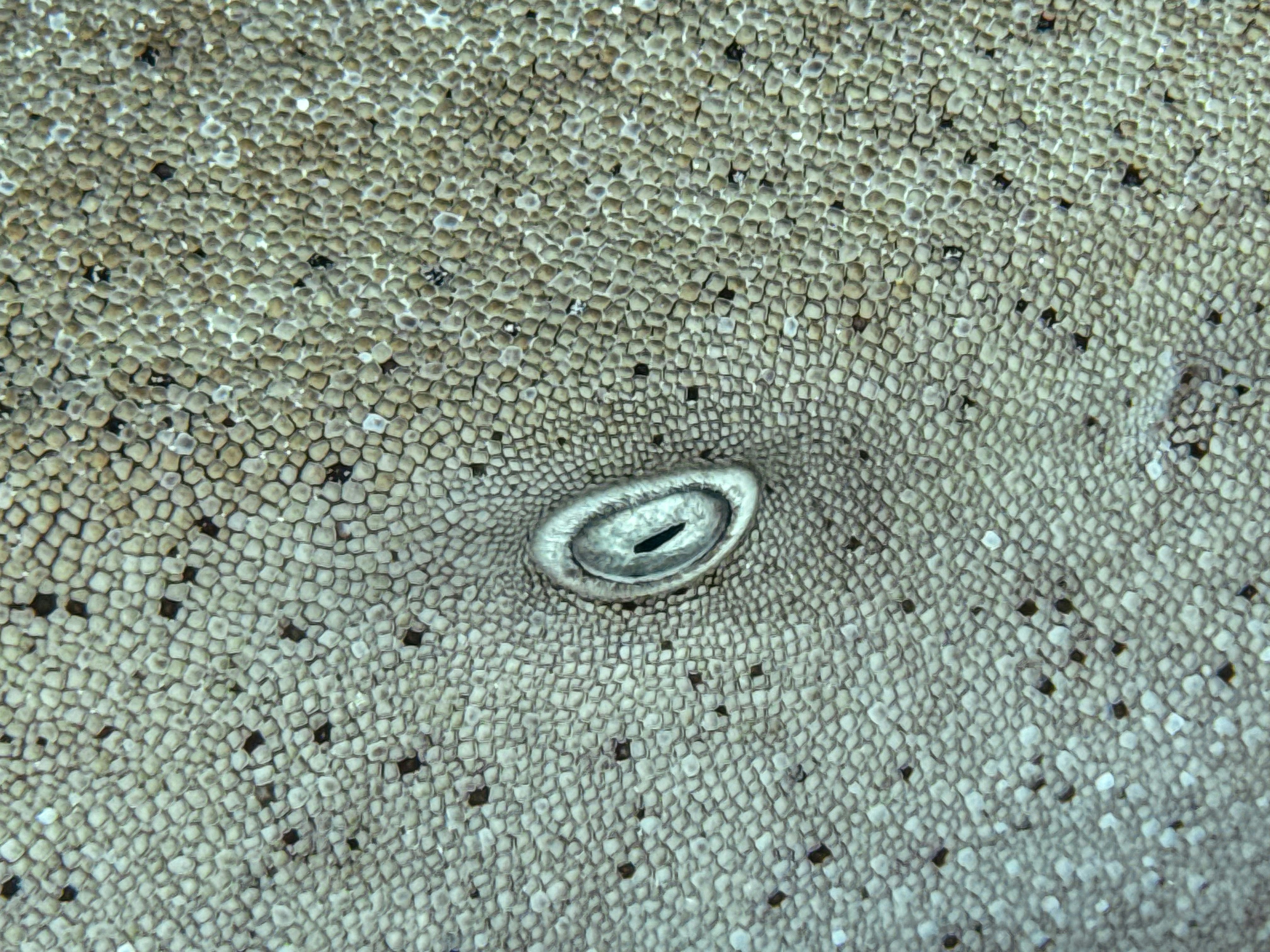 A close up of a cloth with a hole in it