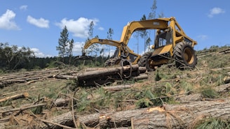 A bulldozer digging through a forest filled with logs