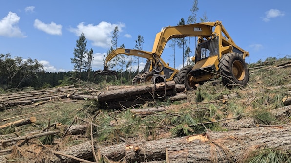 A bulldozer digging through a forest filled with logs