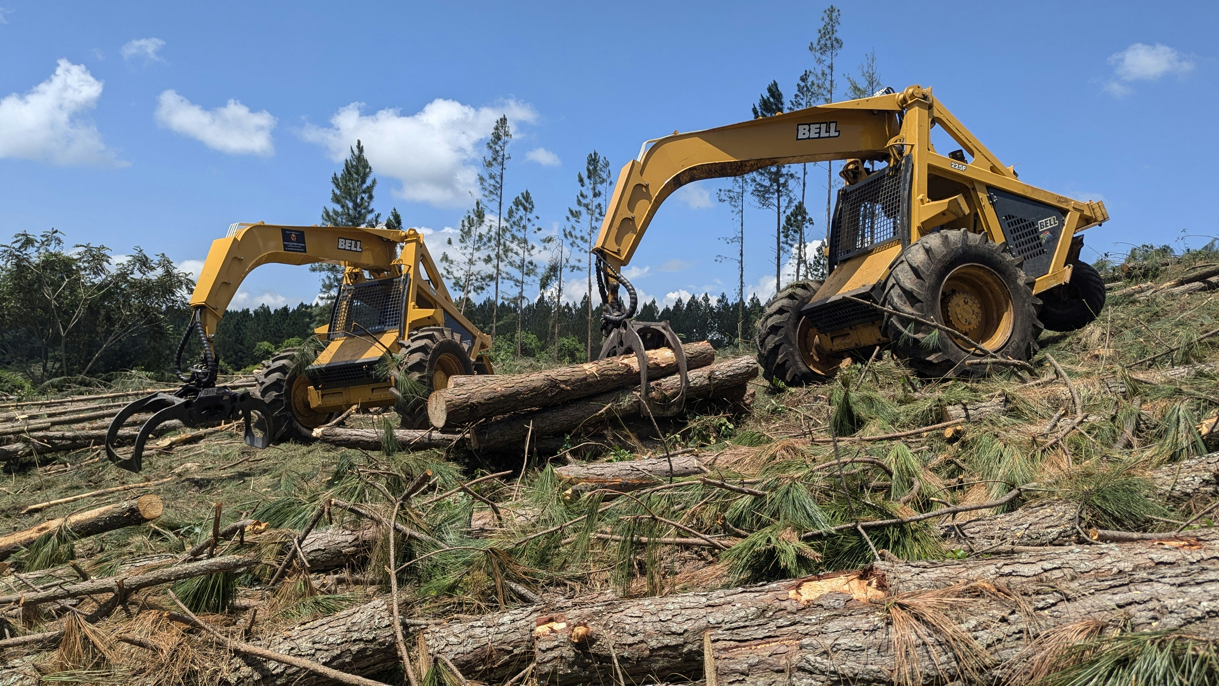 Graylog Monitoring and logging