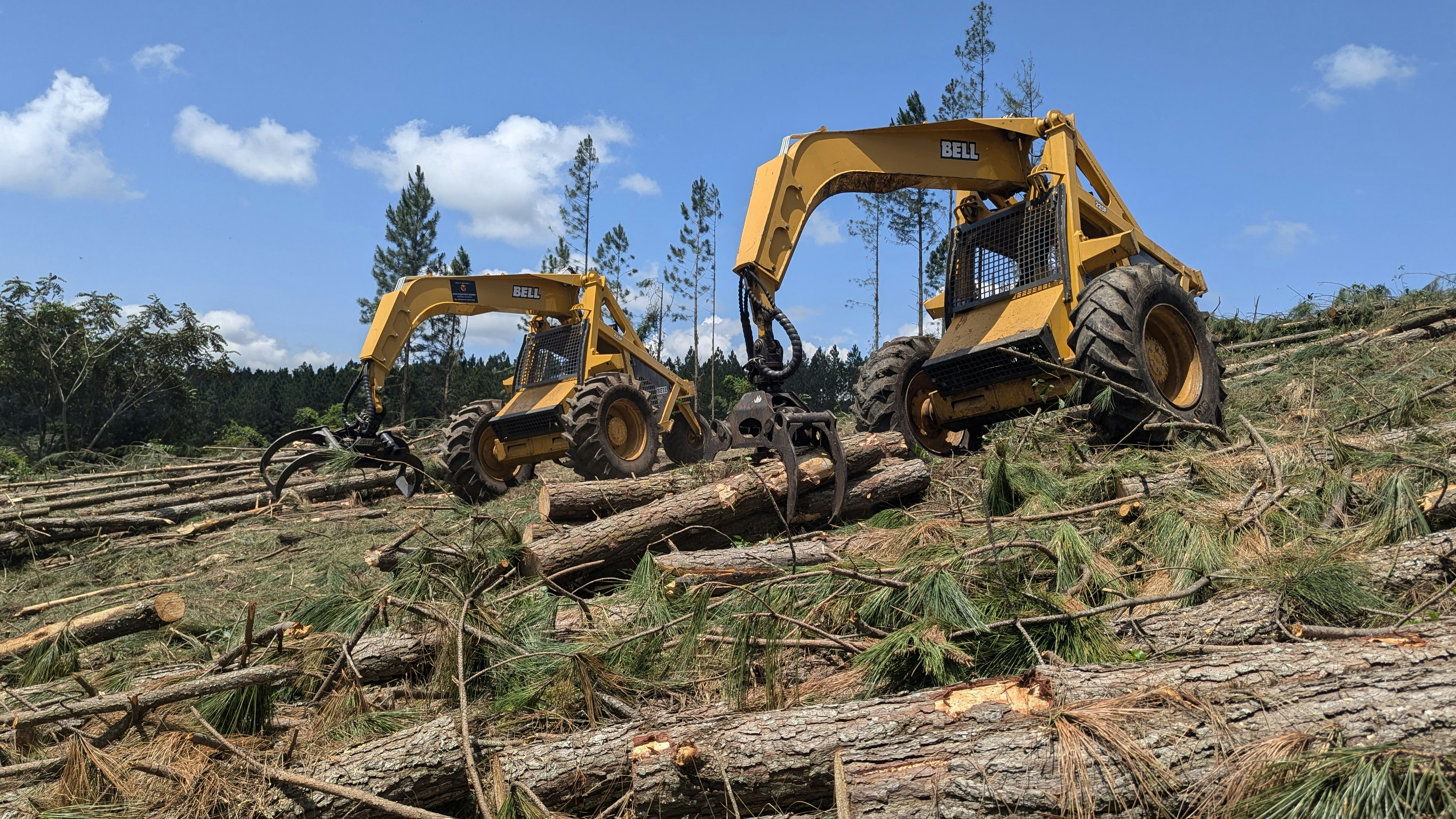 Graylog Monitoring and logging