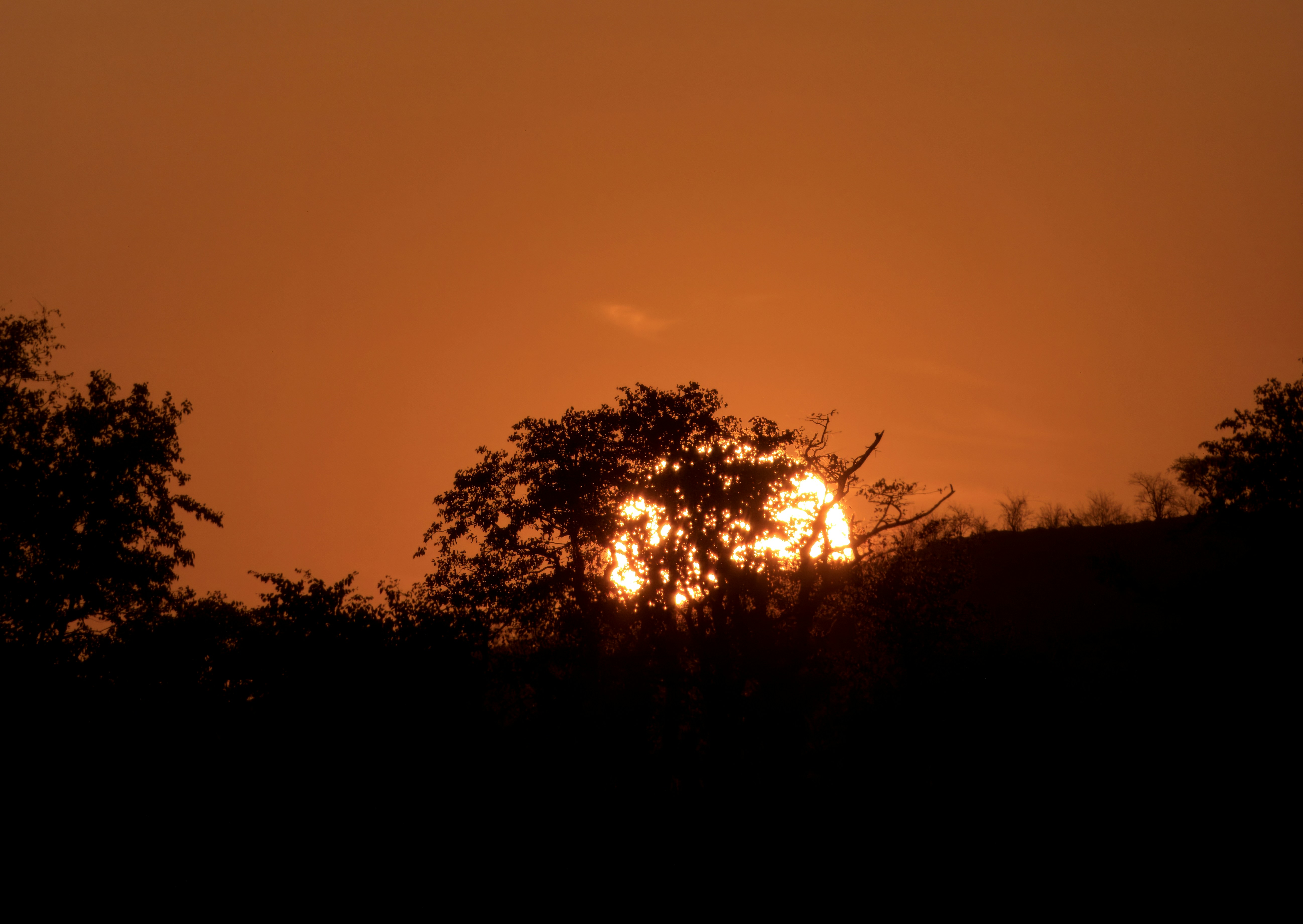 Photo by cristimilea